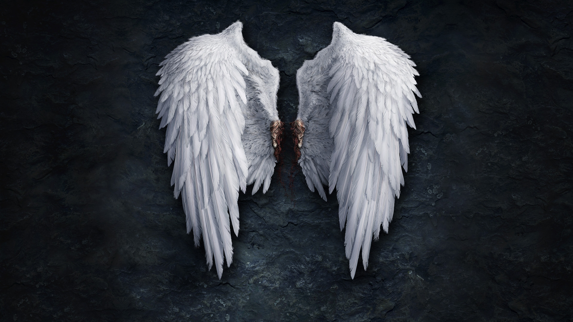 wings - desktop wallpaper