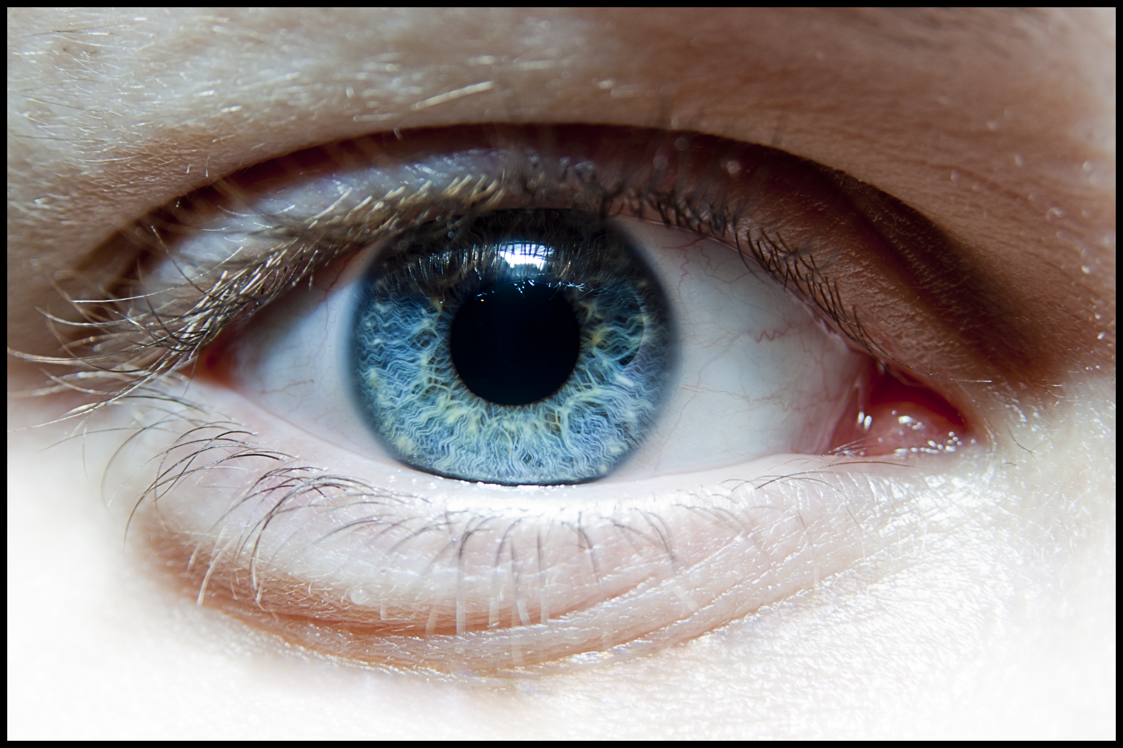 close-up, blue, eyes, macro - desktop wallpaper