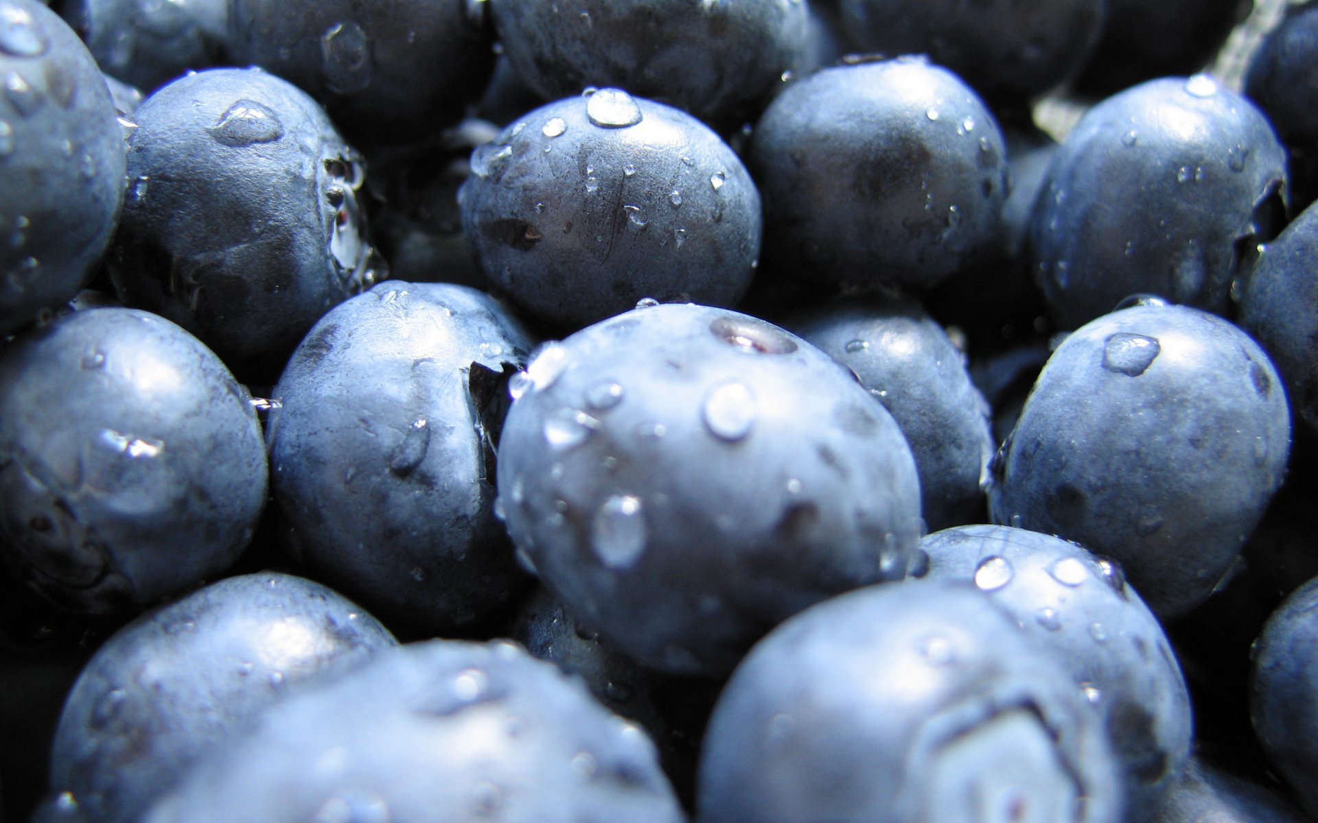 close-up, fruits, food, water drops, blueberries - desktop wallpaper