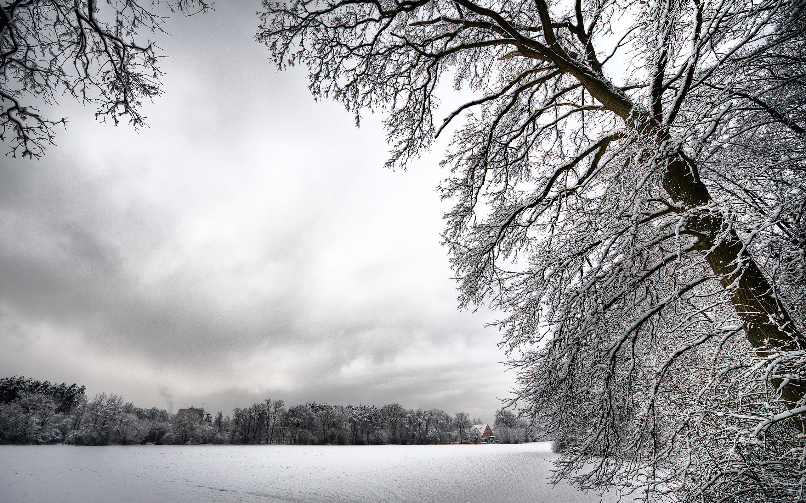 landscapes, winter - desktop wallpaper