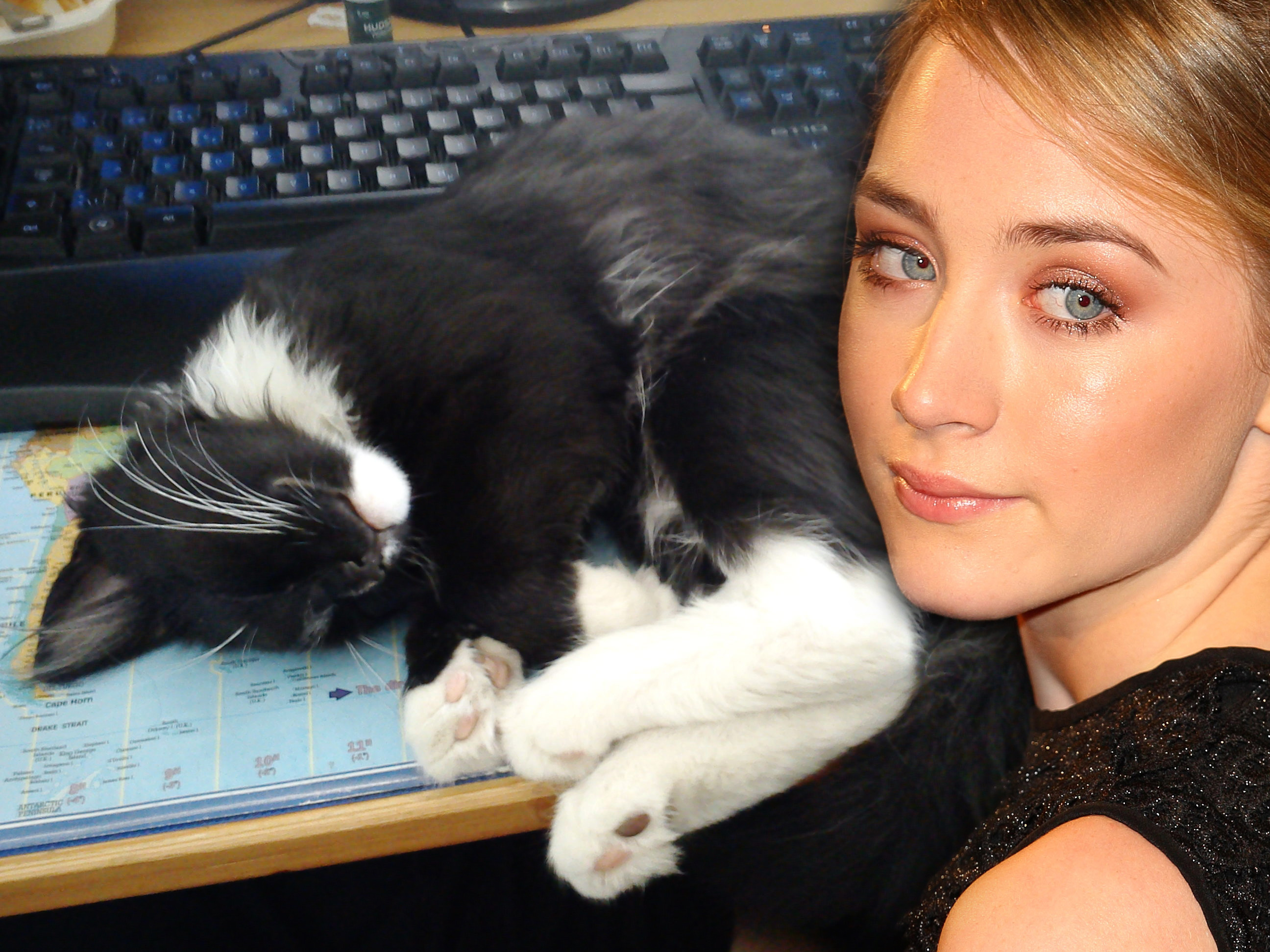 women, cats, actress, Saoirse Ronan - desktop wallpaper