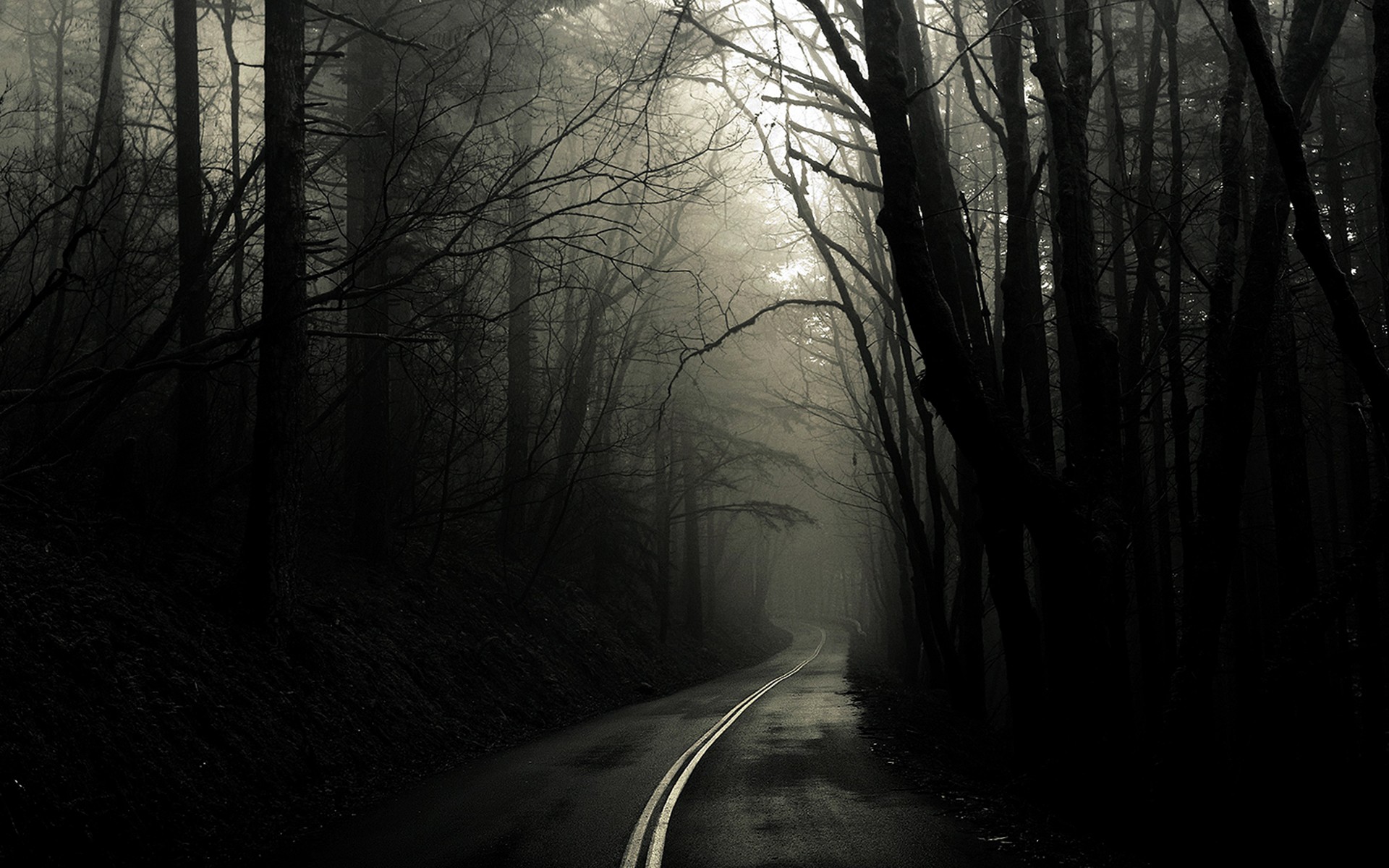 landscapes, trees, fog, grayscale, roads, Greg Martin - desktop wallpaper