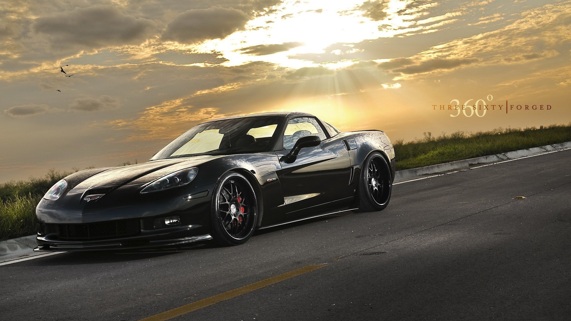 landscapes, cars, Chevrolet Corvette, black cars, front angle view - desktop wallpaper
