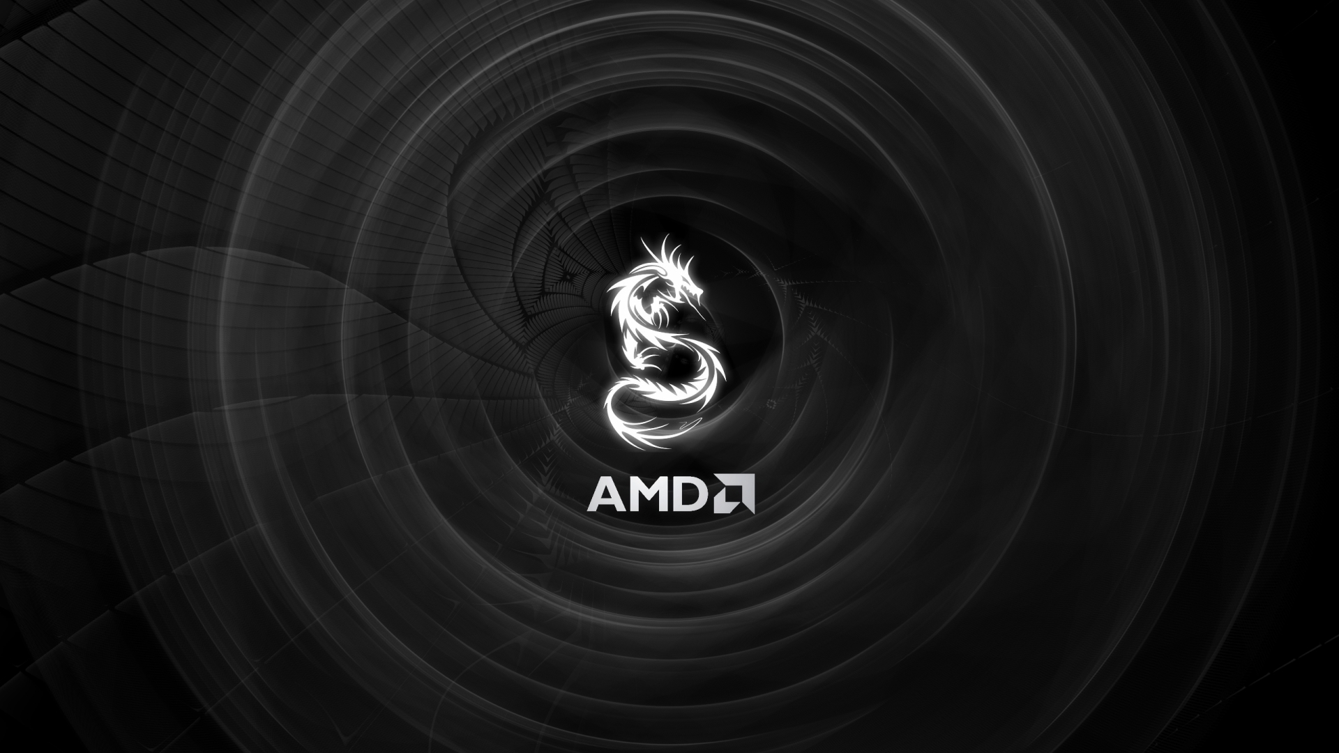 dragons, AMD - desktop wallpaper
