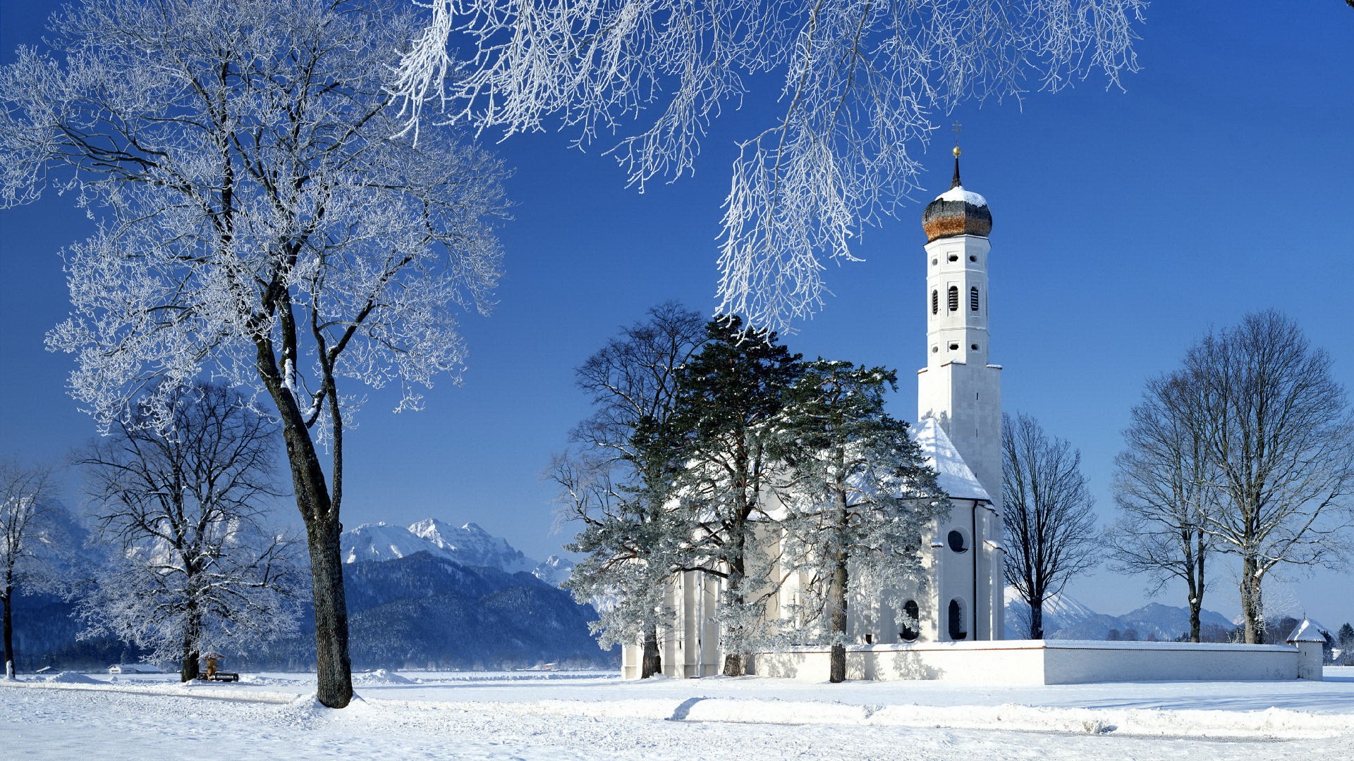 landscapes, winter, trees - desktop wallpaper
