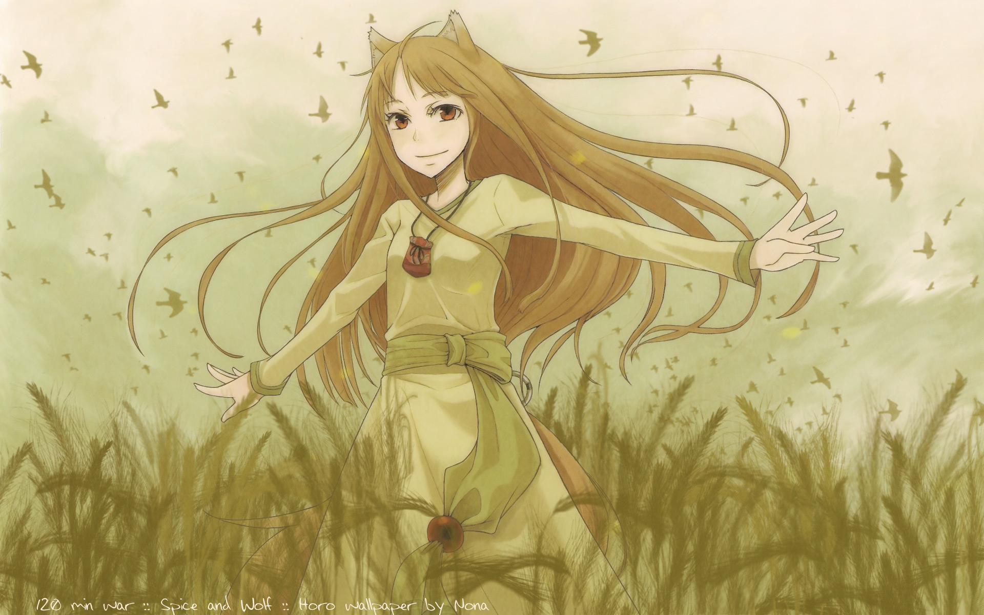 Spice and Wolf, Holo The Wise Wolf, anime girls - desktop wallpaper