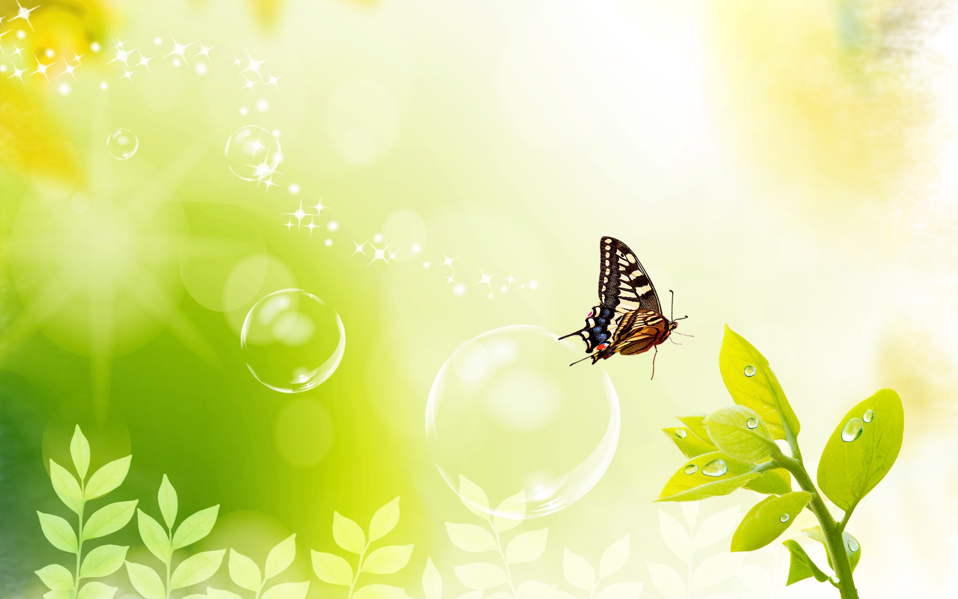plants, bubbles, digital art, butterflies - desktop wallpaper