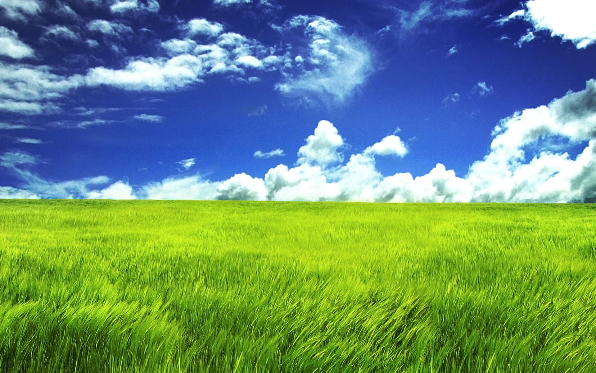 clouds, landscapes, grass, skyscapes - desktop wallpaper