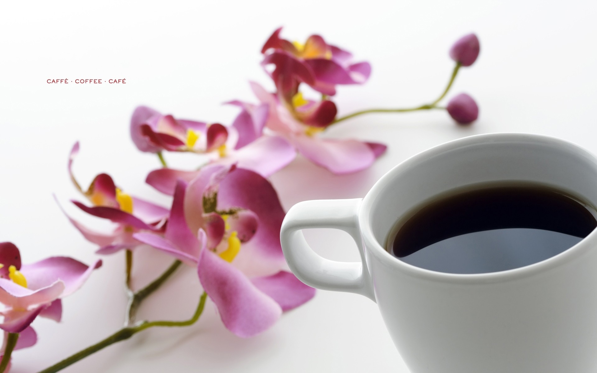 Чашка кофе с орхидеей