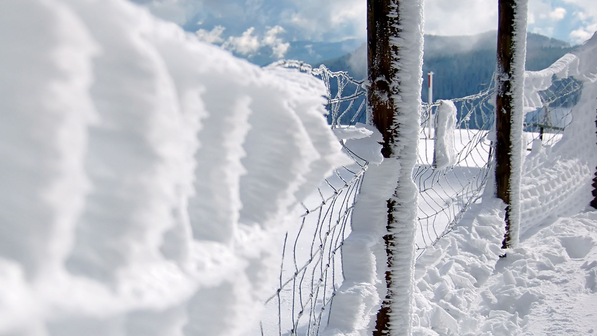 close-up, snow, fences, chain link fence - desktop wallpaper