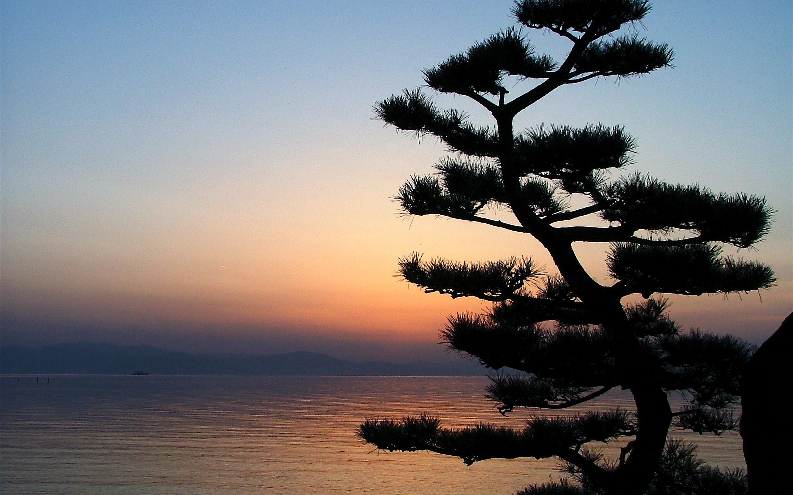 sunset, Japan, landscapes, nature, trees, silhouettes, lakes - desktop wallpaper