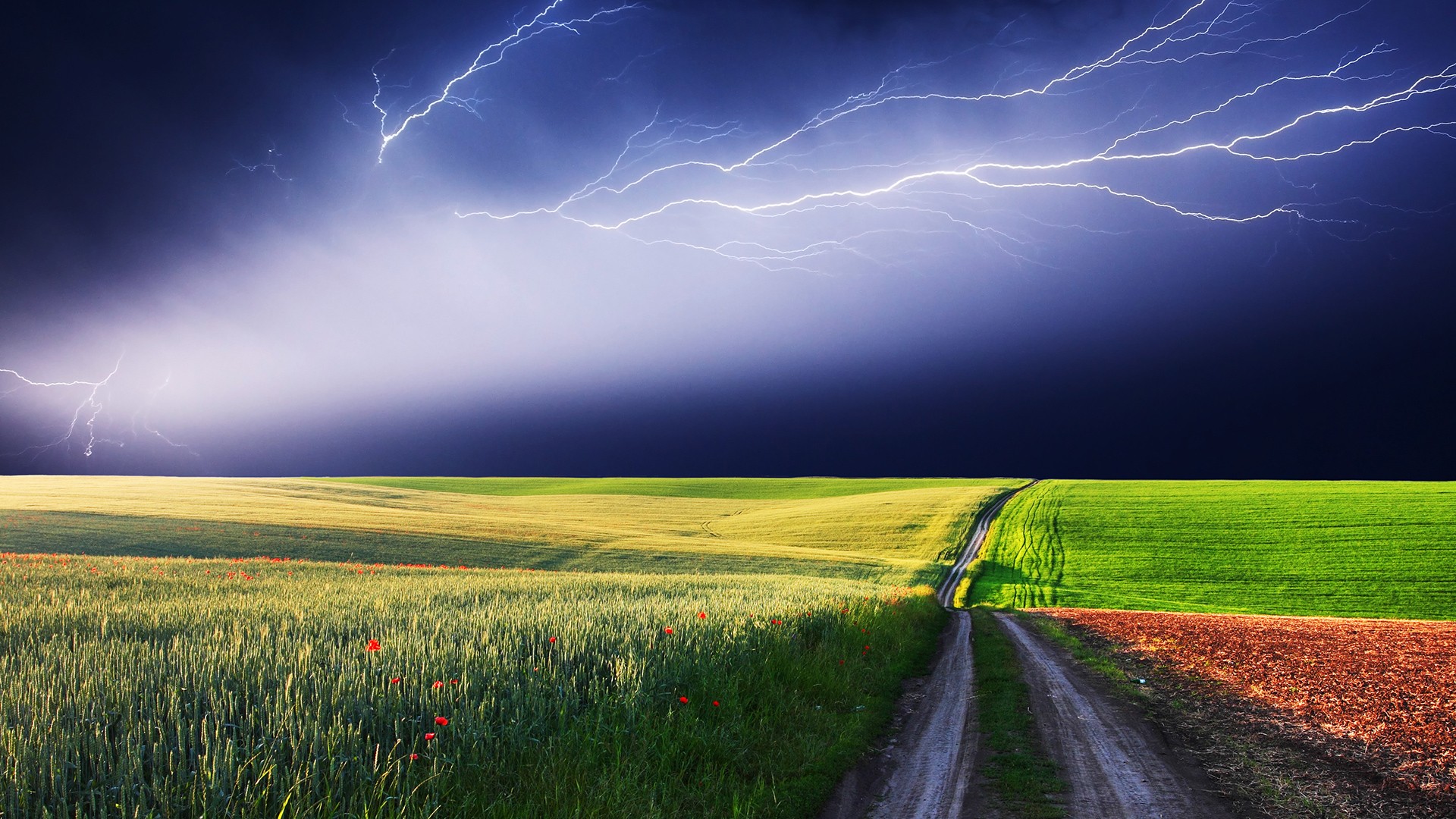 storm, grass - desktop wallpaper