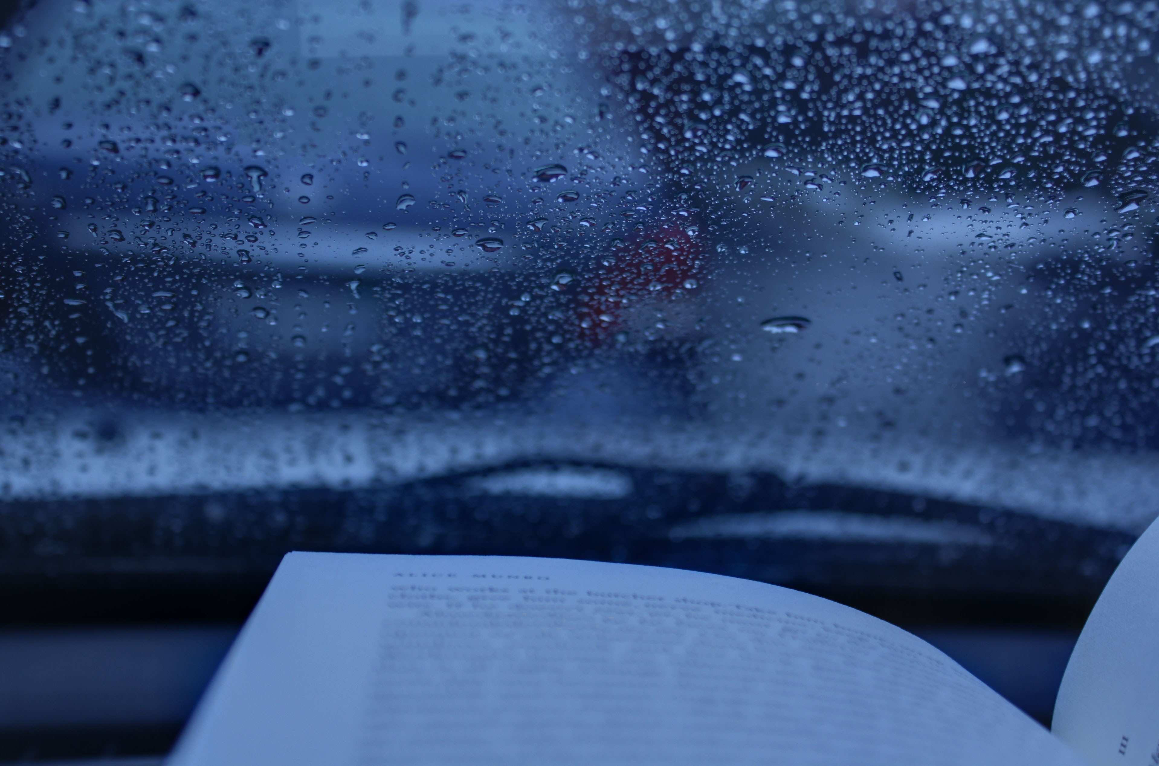 rain, books - desktop wallpaper