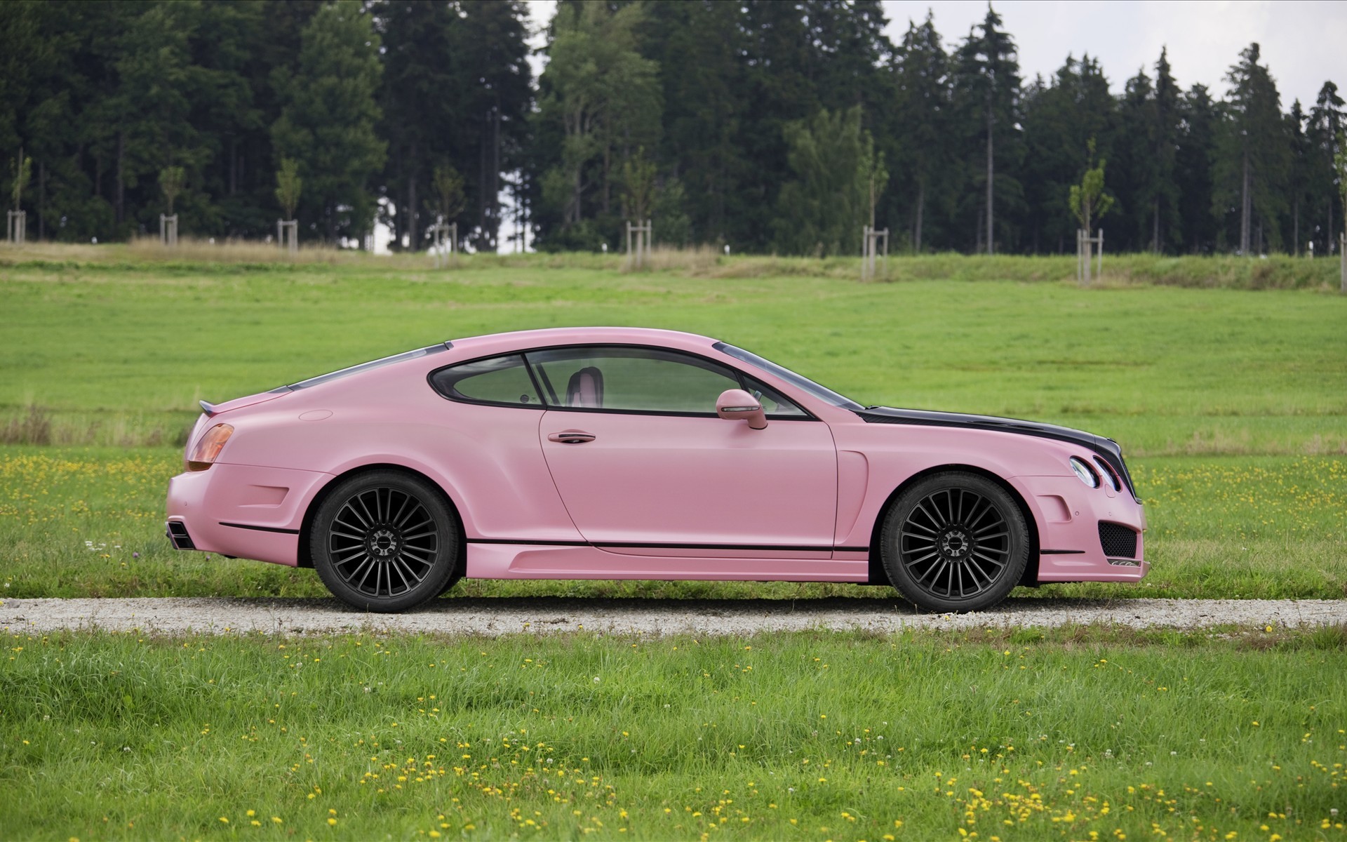 pink, cars, Bentley, vehicles - desktop wallpaper