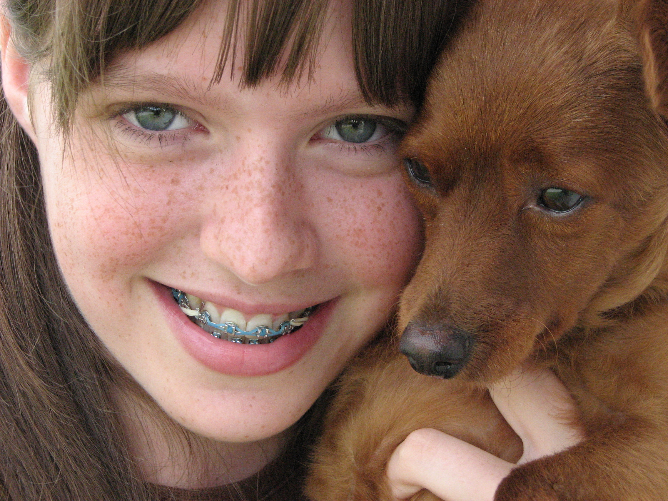 close-up, animals, dogs, freckles, braces - desktop wallpaper