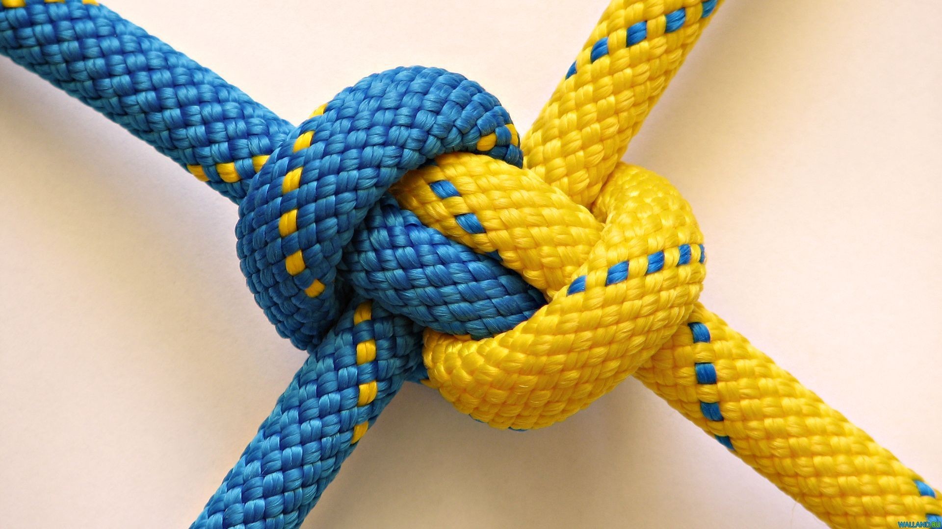 knot, ropes - desktop wallpaper