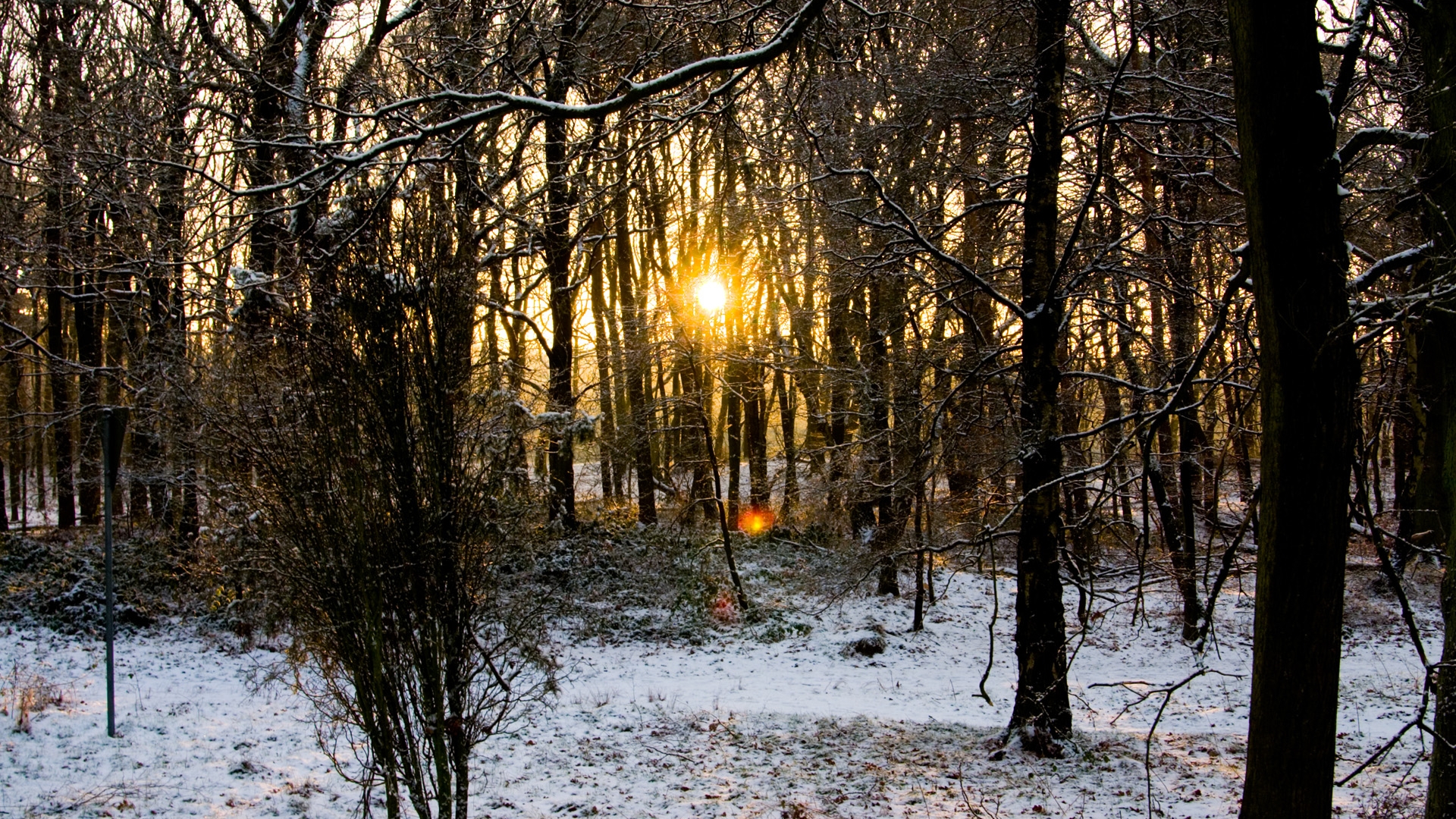 sunset, landscapes, winter, Sun, forests - desktop wallpaper