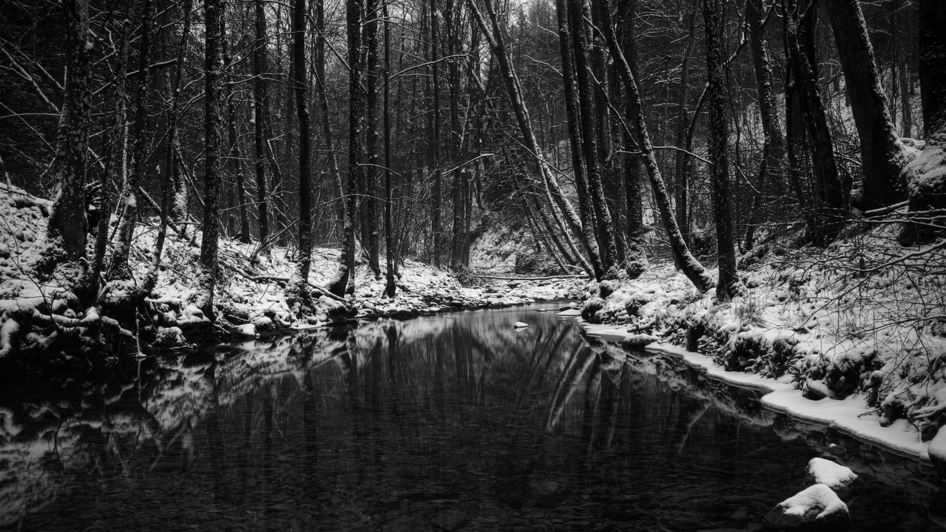 nature, winter, trees, forests, monochrome, rivers, greyscale - desktop wallpaper