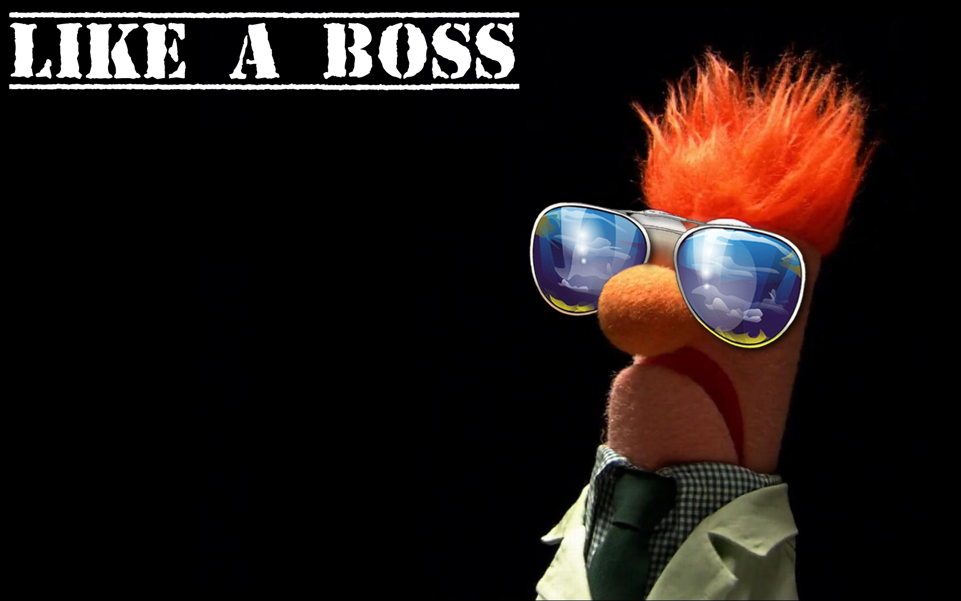 Beaker, The Muppet Show, like a boss - desktop wallpaper