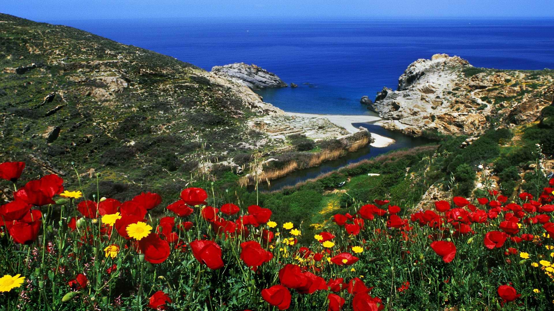 Крит остров Греция растительность