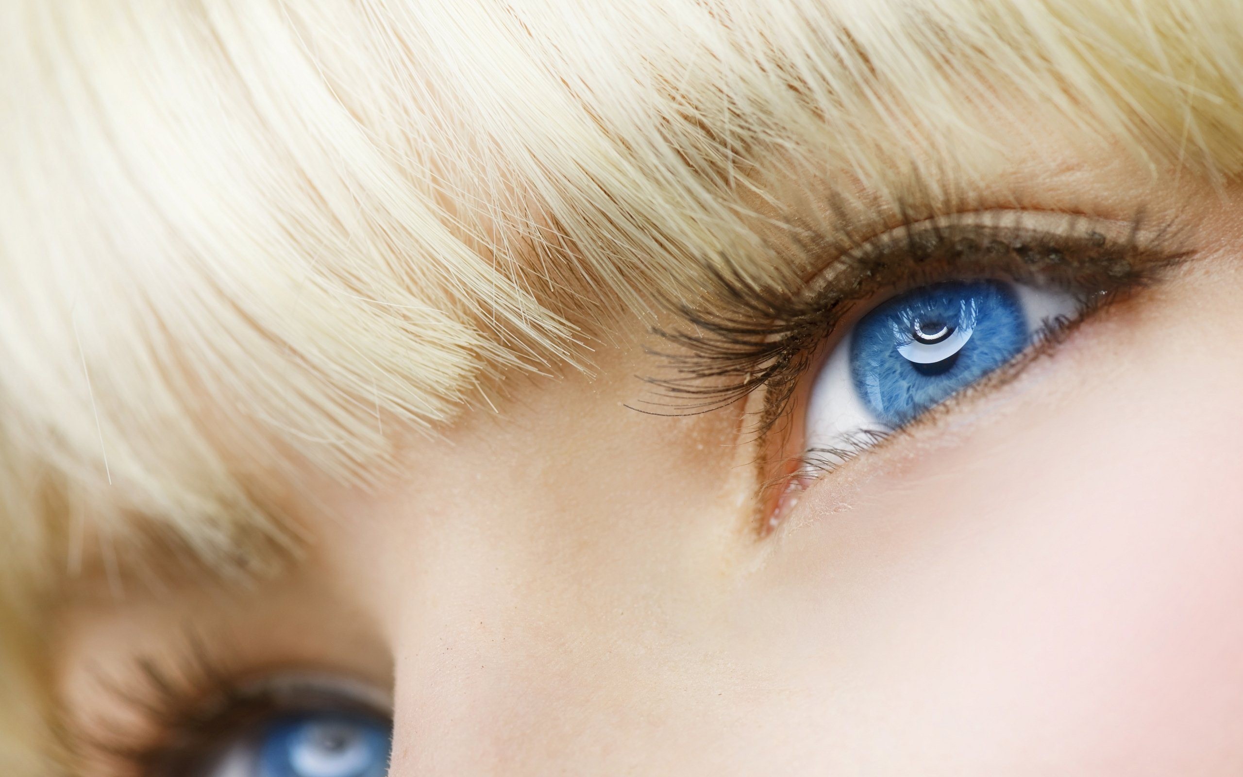 blondes, women, blue eyes, faces - desktop wallpaper