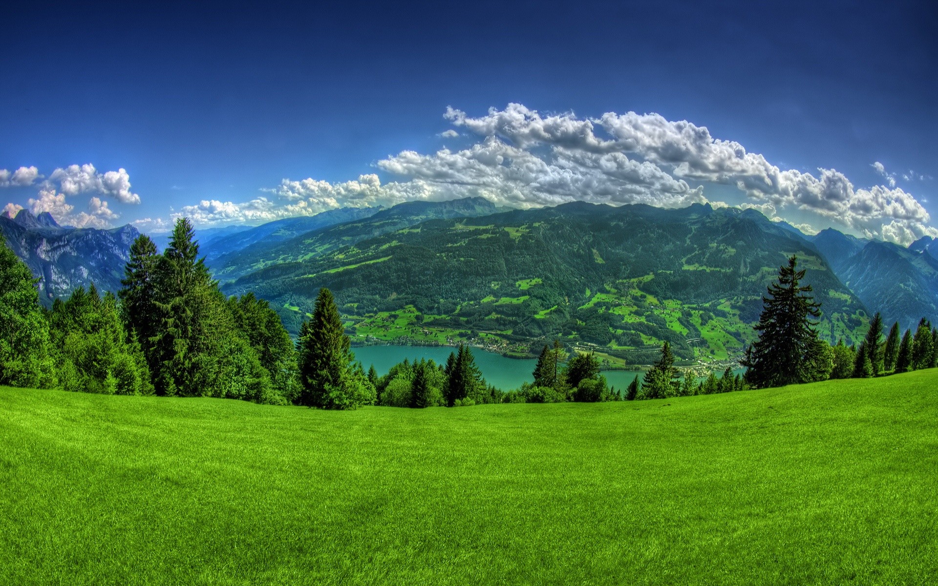 clouds, landscapes, trees, grass - desktop wallpaper