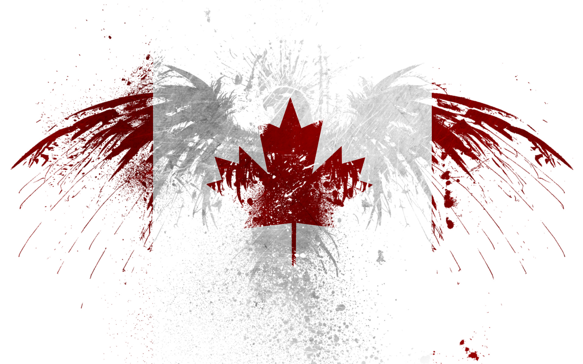 eagles, Canada, flags, Canadian flag - desktop wallpaper