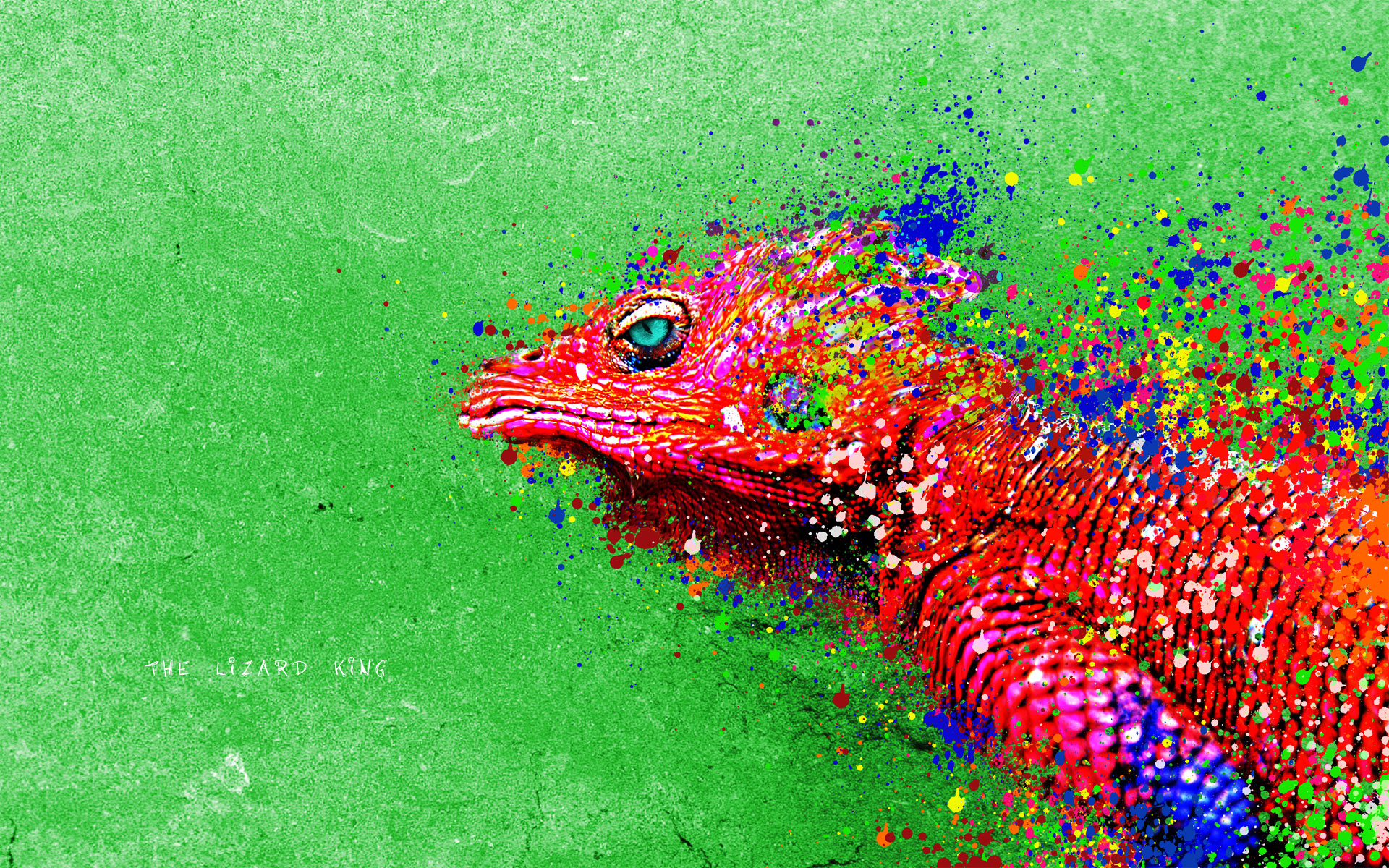 paintings, lizards, reptiles, iguana, colors - desktop wallpaper