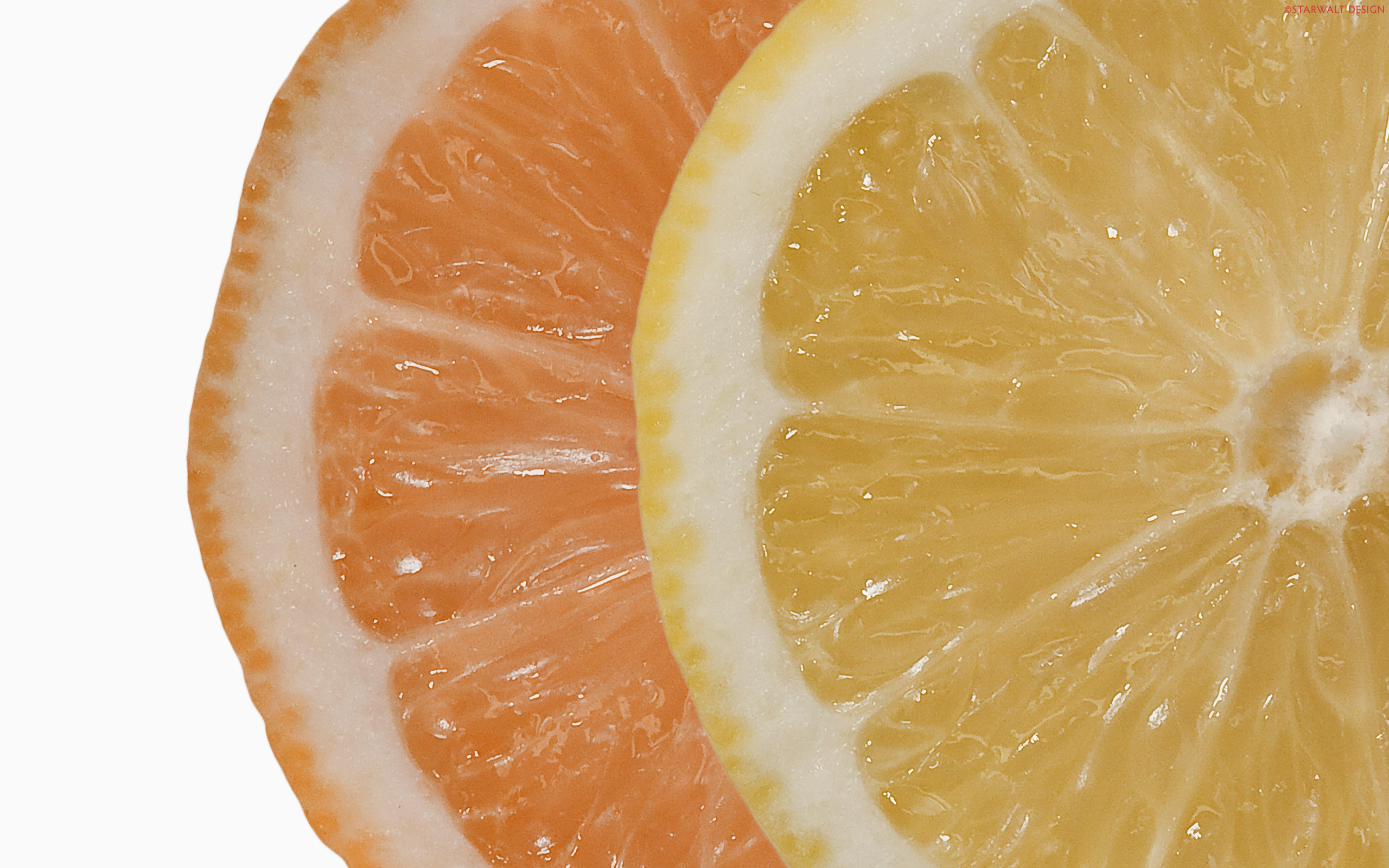 fruits, oranges, orange slices, lemons, white background, slices - desktop wallpaper