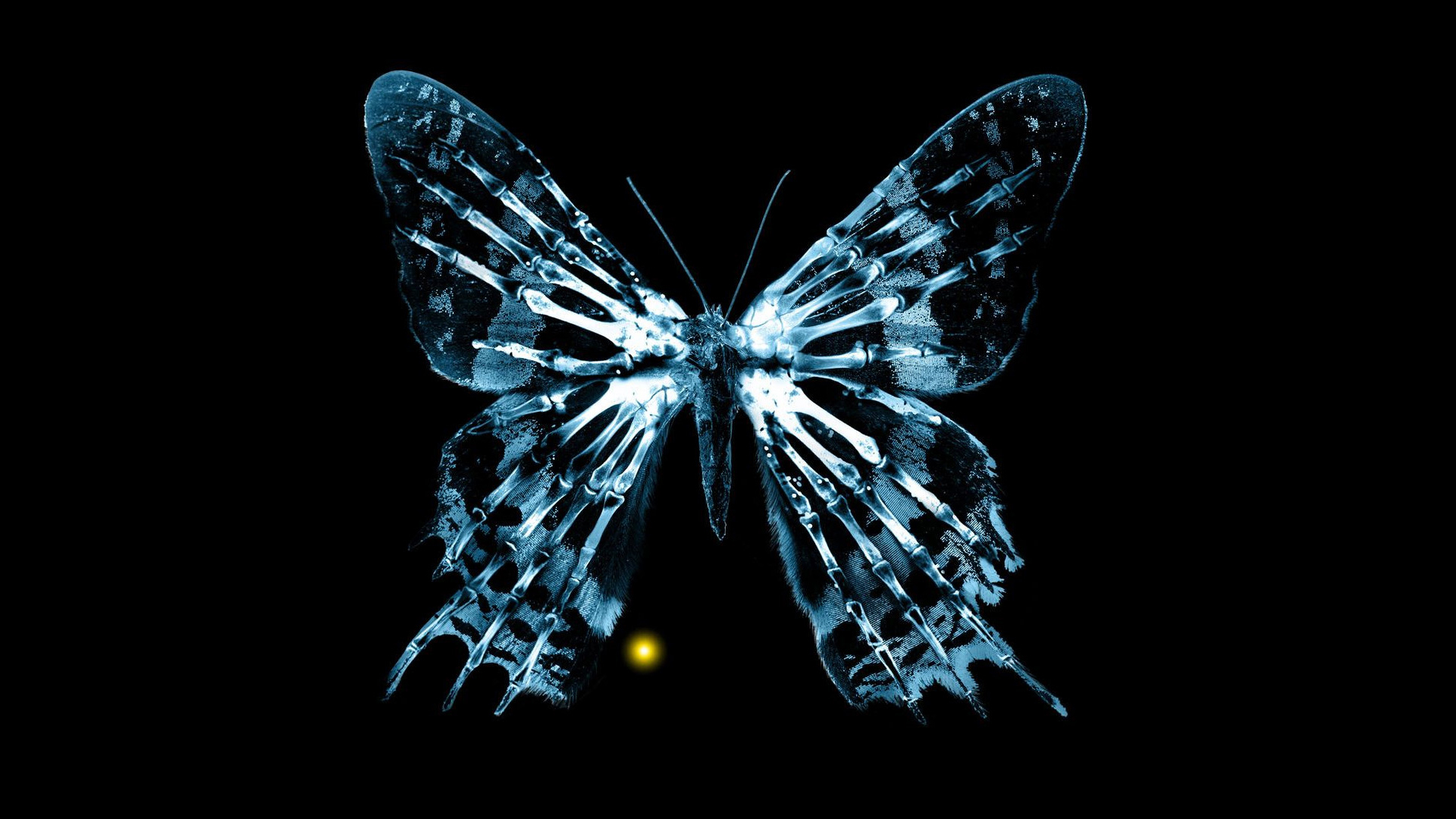 TV, Fringe, butterflies - desktop wallpaper