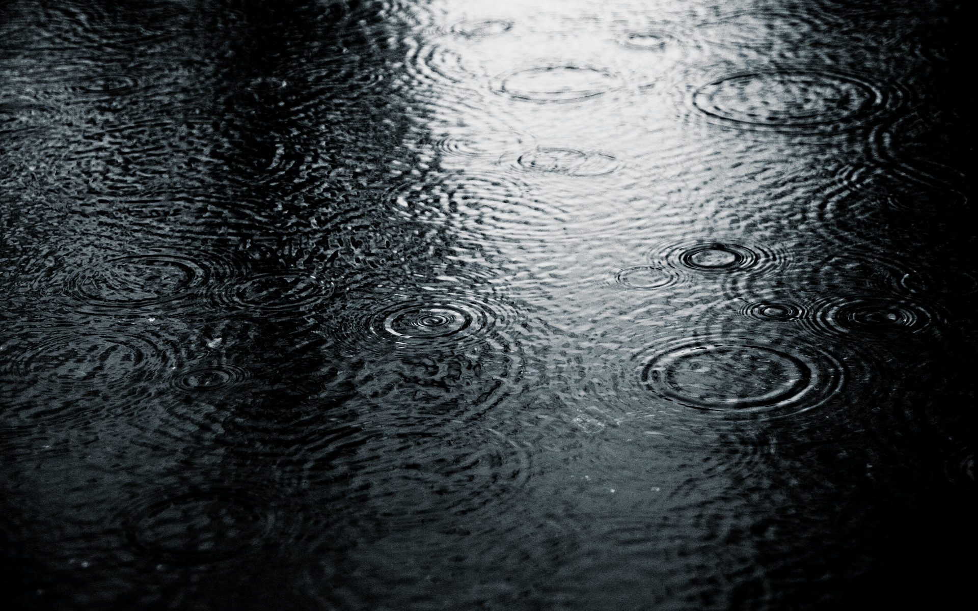 ripples, monochrome, water drops - desktop wallpaper