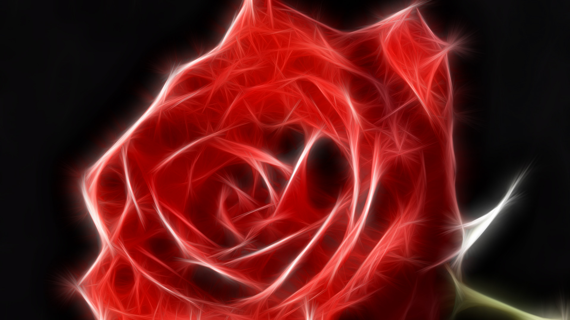 Fractalius, roses - desktop wallpaper