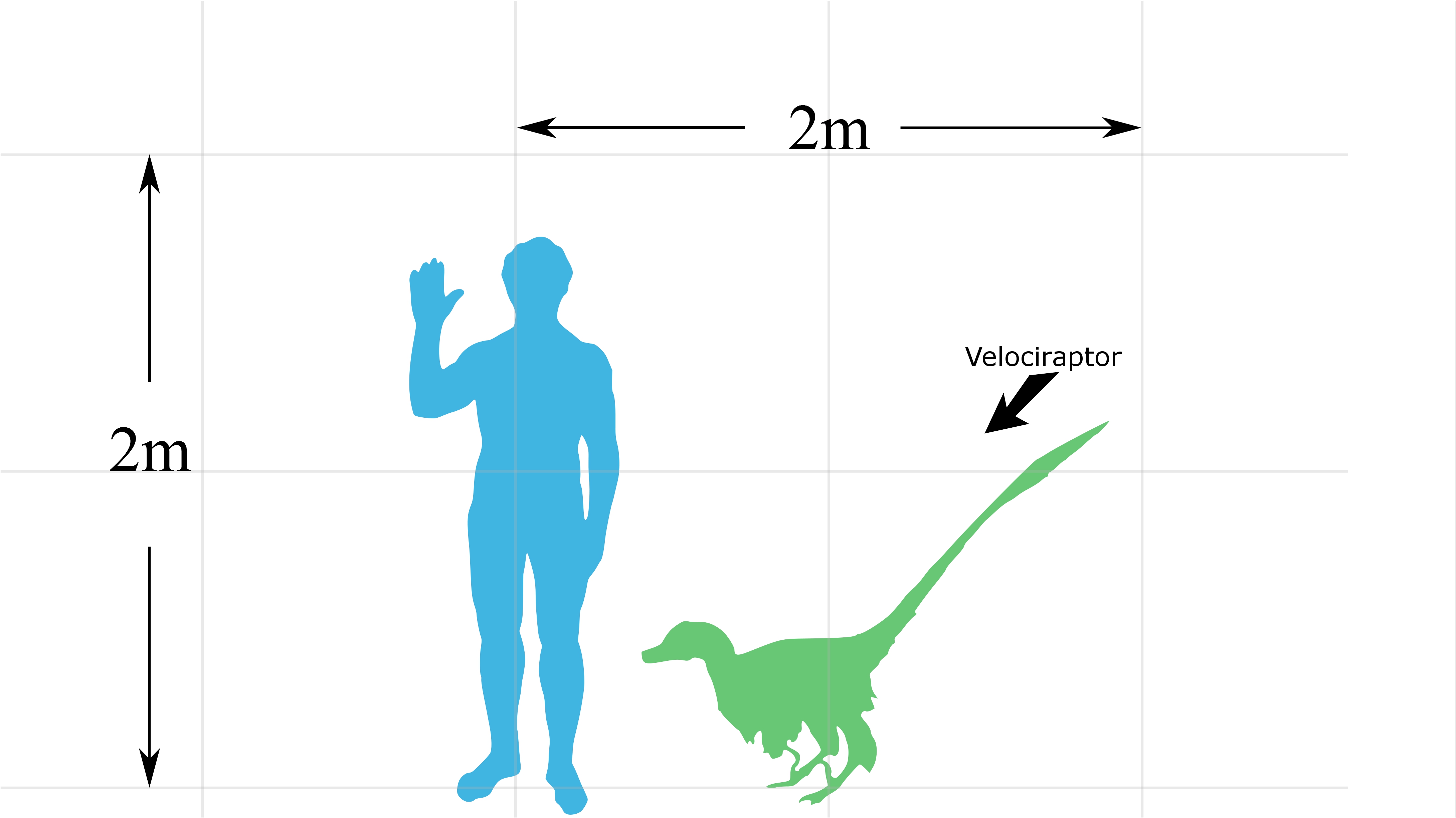 dinosaurs, velociraptor, simplistic - desktop wallpaper