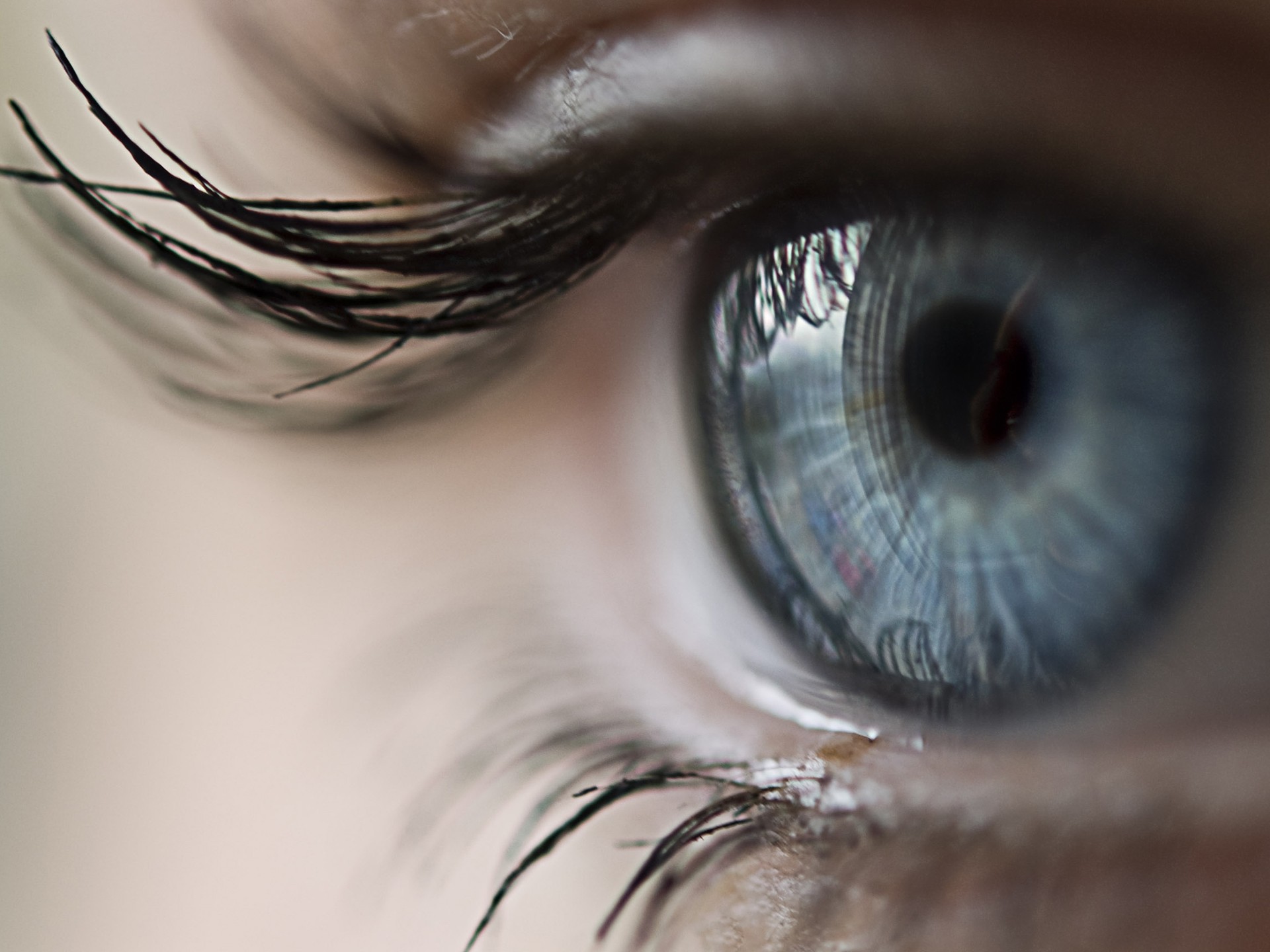 eyes, blue eyes, pupil - desktop wallpaper