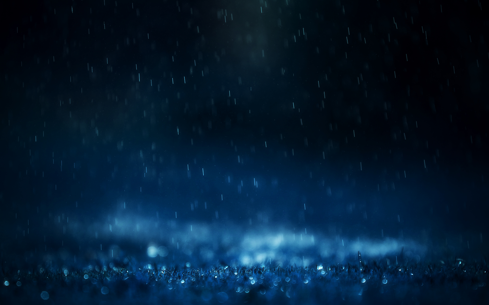 rain, water drops - desktop wallpaper
