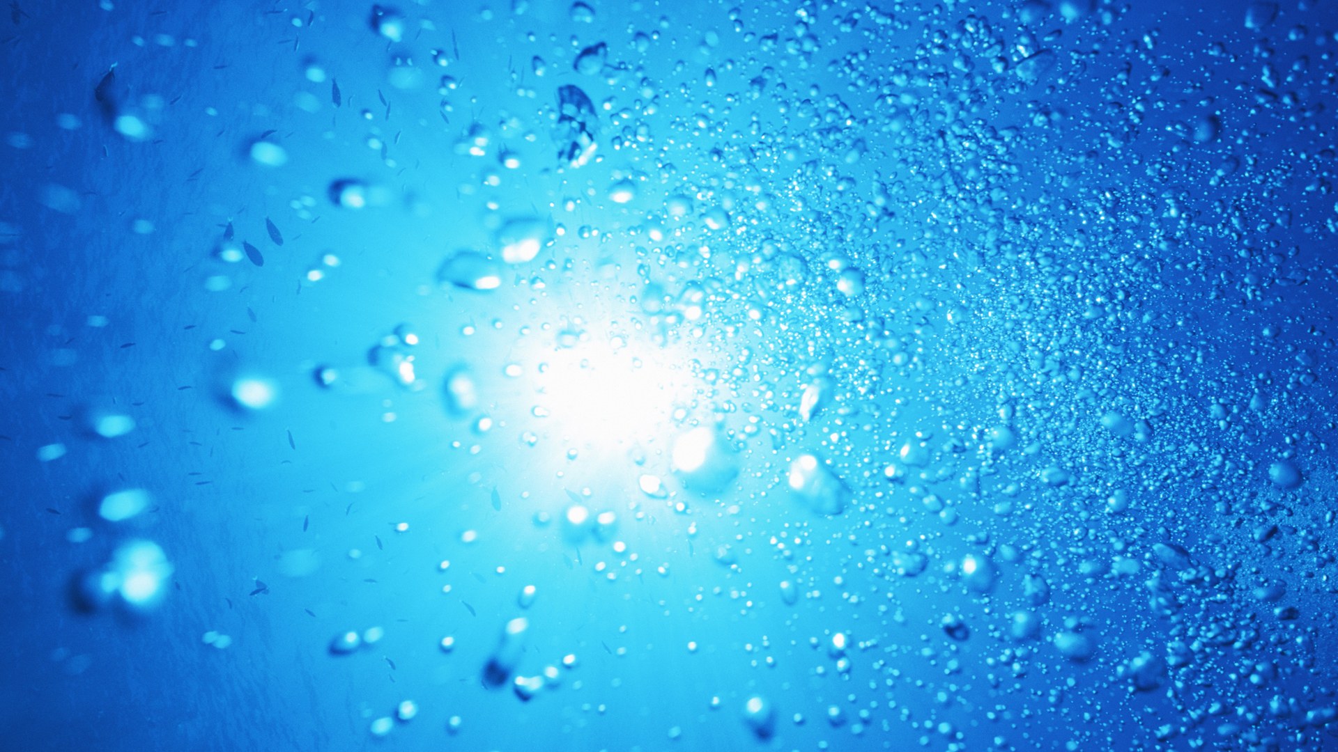 water drops - desktop wallpaper