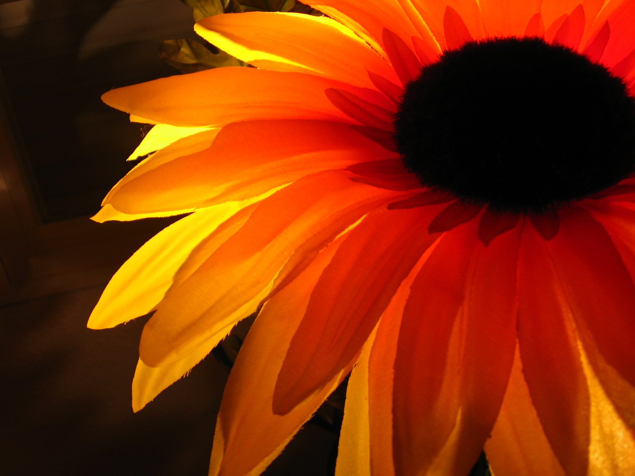 nature, flowers, orange, flower petals, sunflowers - desktop wallpaper