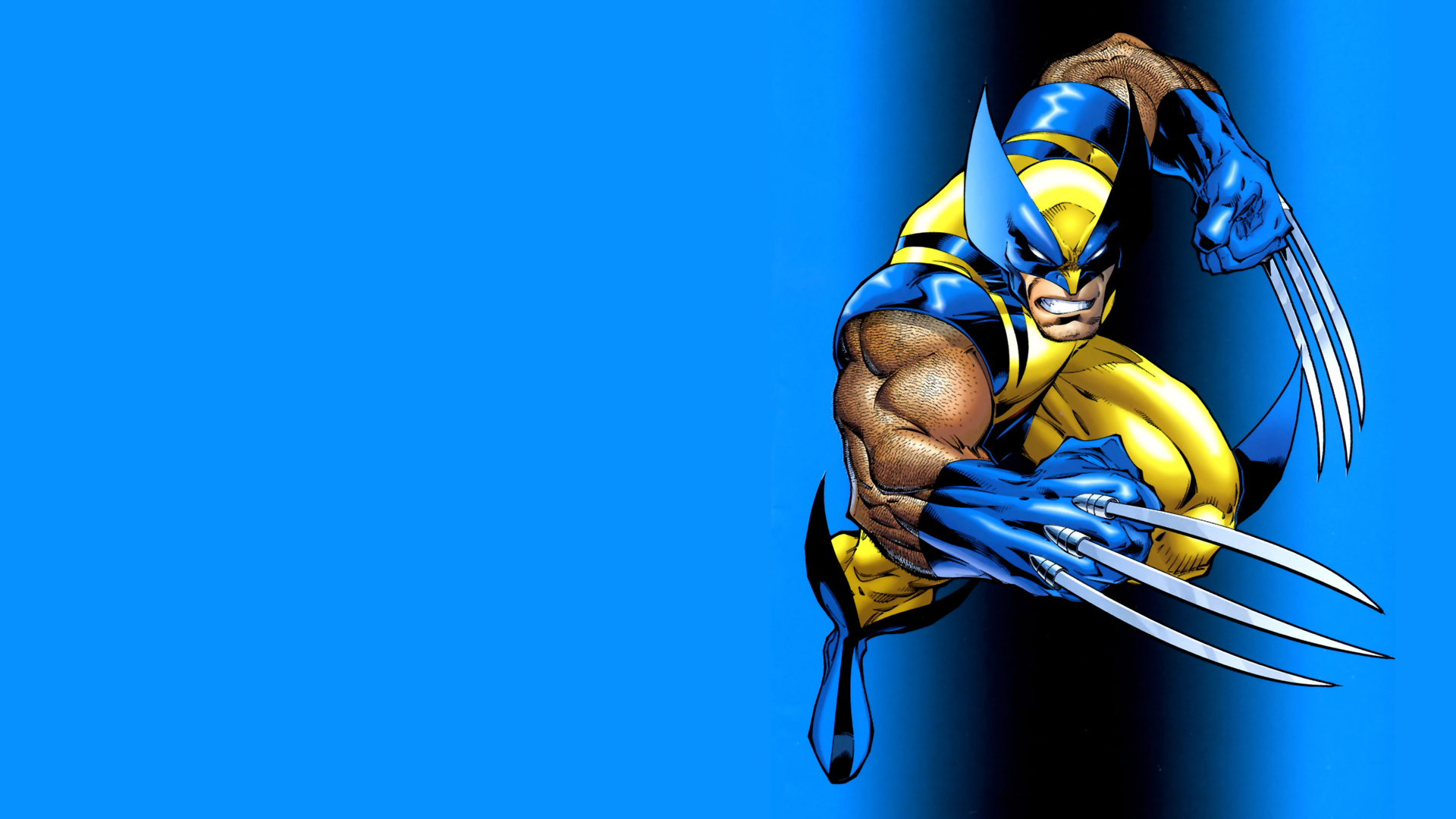 Wolverine, Marvel Comics - desktop wallpaper