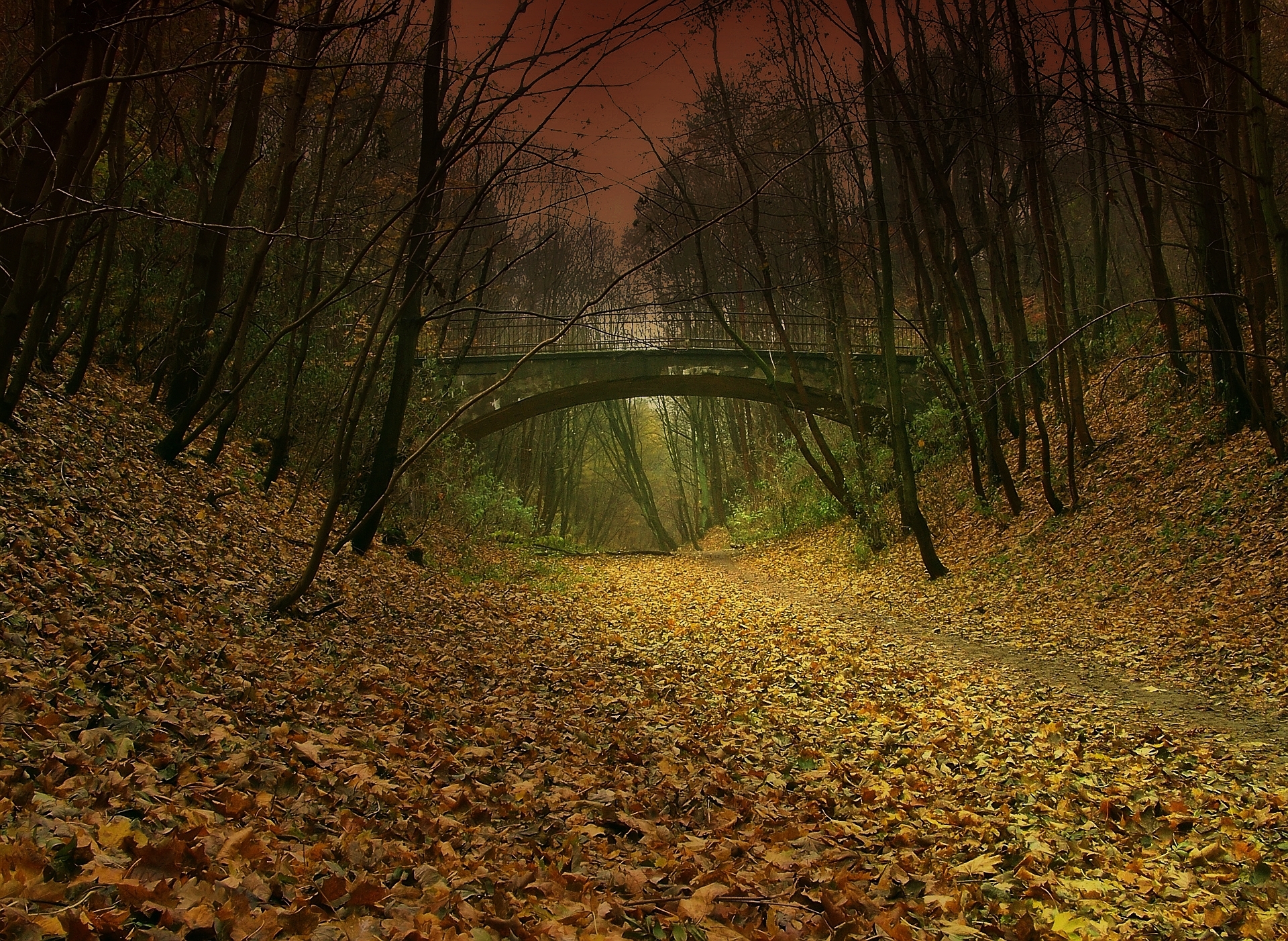 nature, autumn, paths, Falling Down (movie), fallen leaves - desktop wallpaper