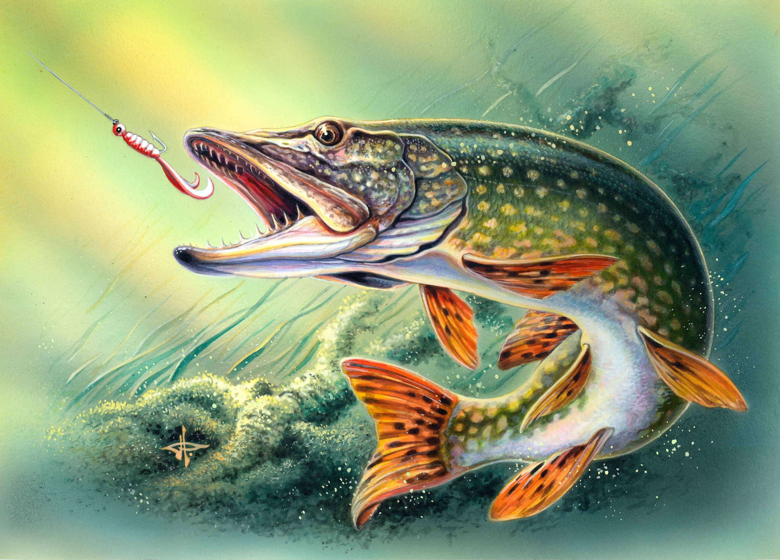 fishing - desktop wallpaper