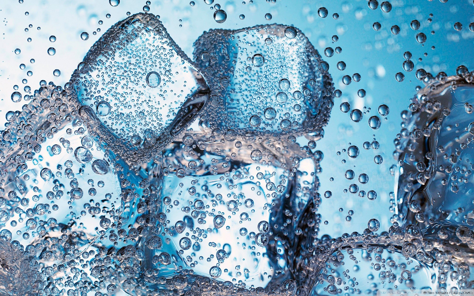 water, ice, ice cubes - desktop wallpaper