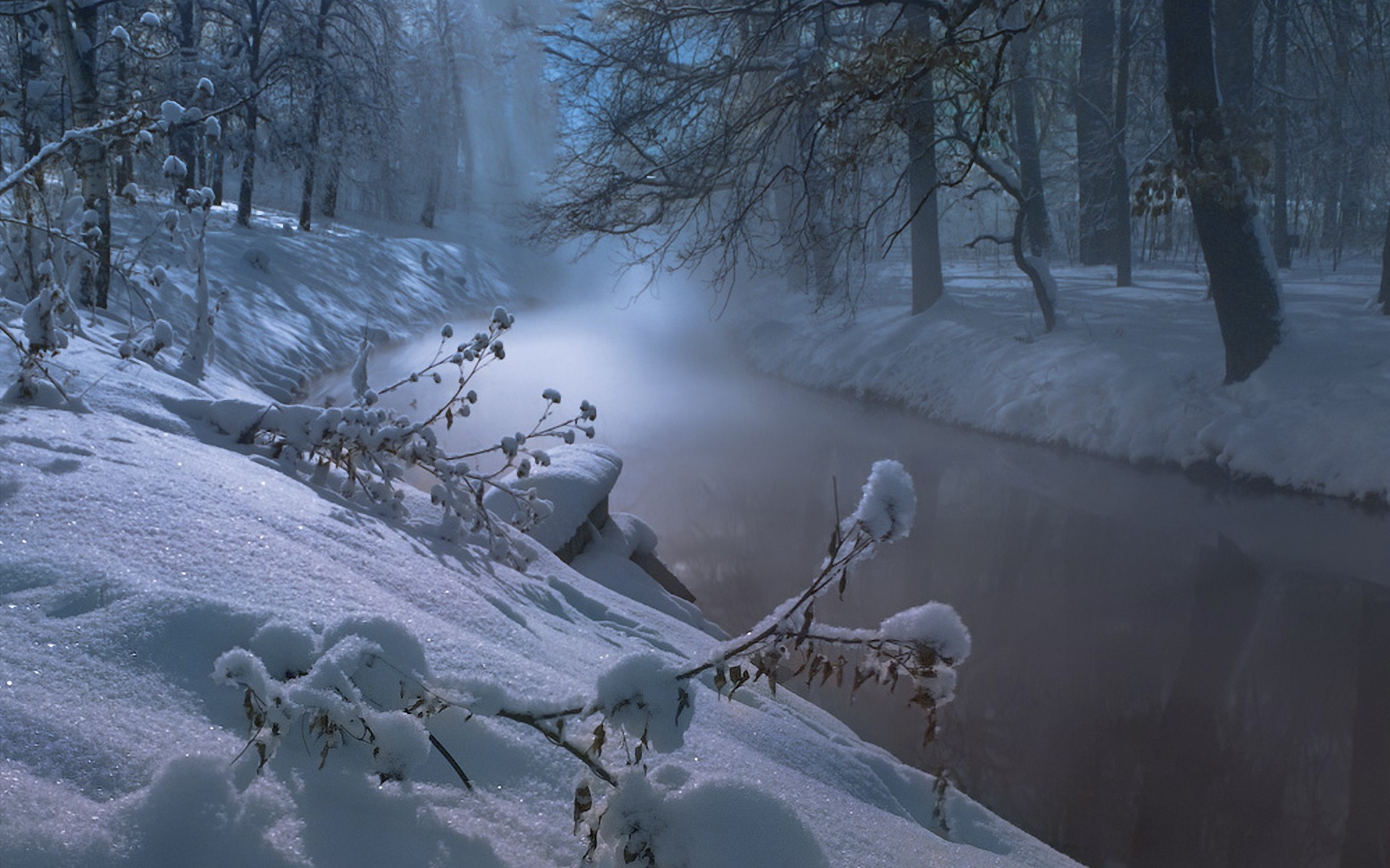water, landscapes, nature, winter, trees, night, rivers - desktop wallpaper