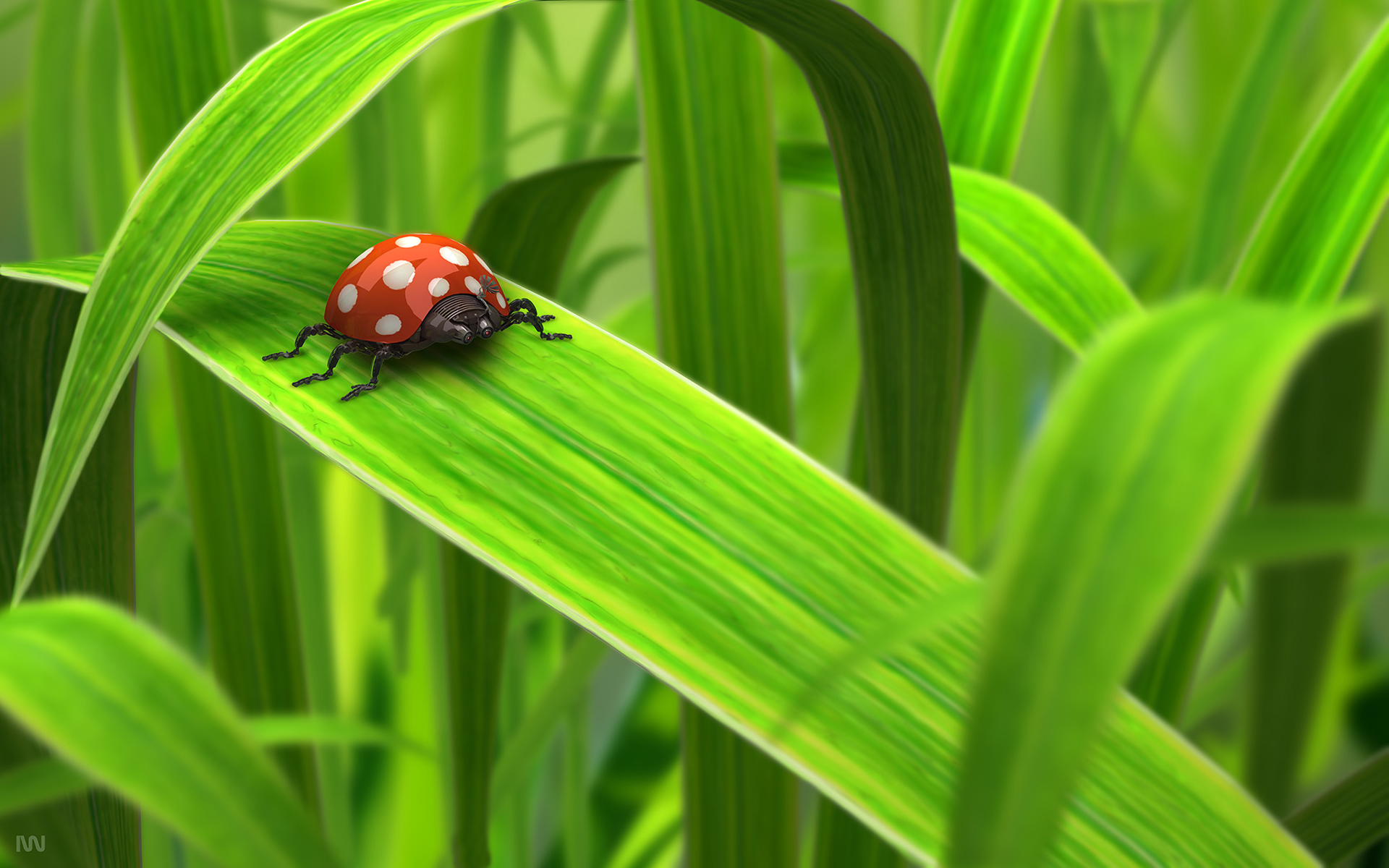 green, 3D view, nature, insects, leaves, summer, DeviantART, bugs, ladybirds - desktop wallpaper