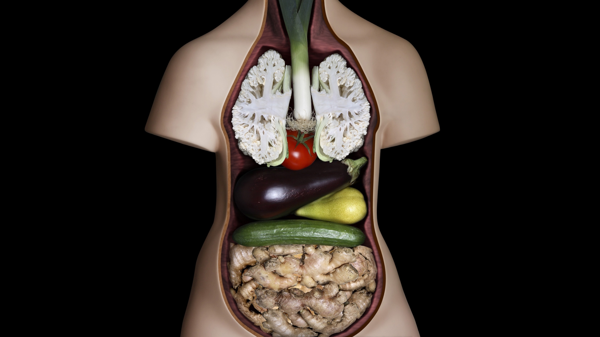 vegetables, system, anatomy - desktop wallpaper