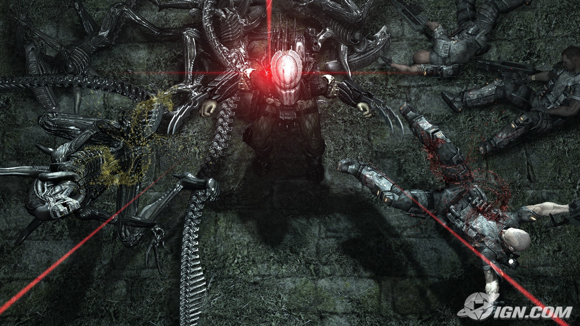 Alien Vs Predator Free Wallpaper Wallpaperjam Com Alien Vs Predator Free Wallpaper Wallpaperjam Com