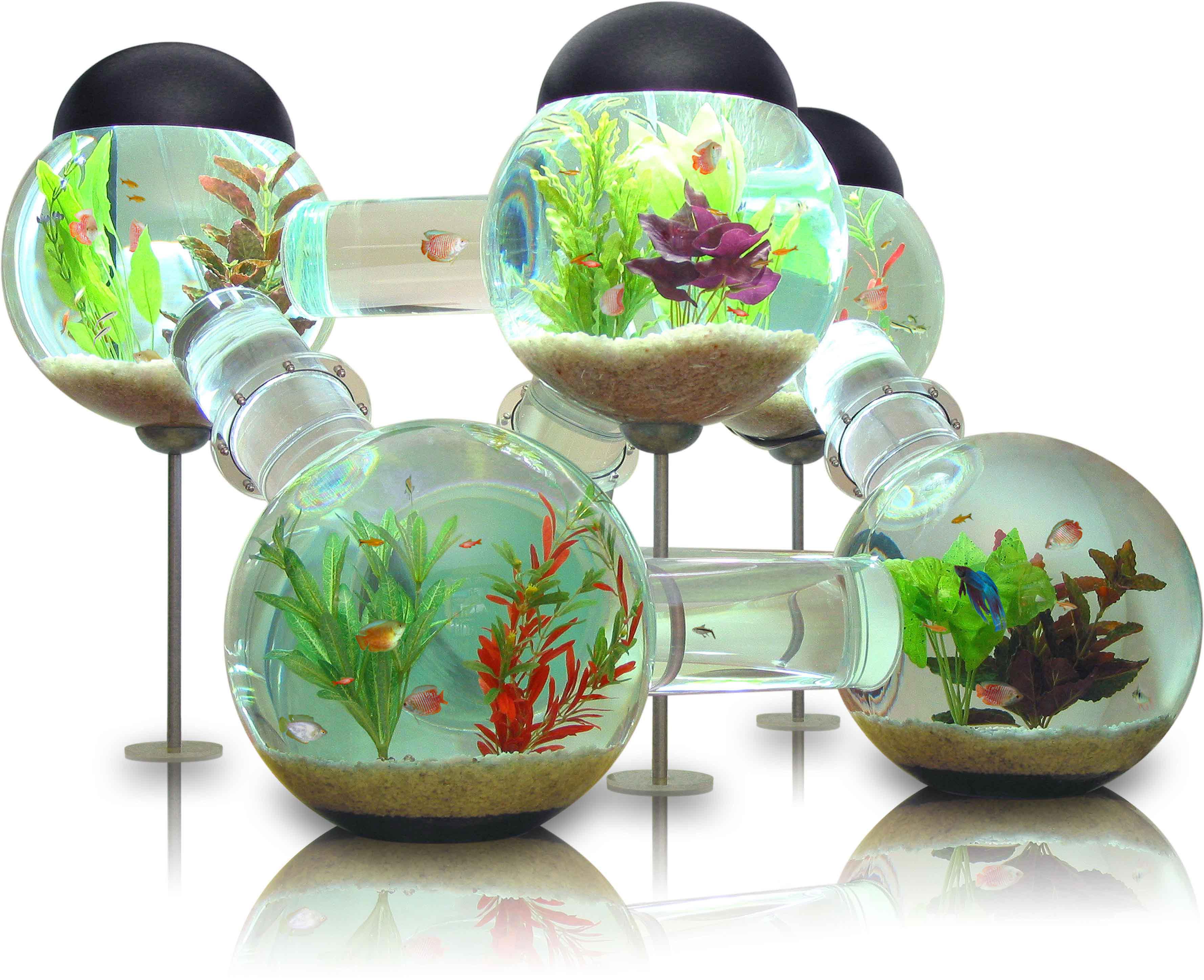 robo fish tank