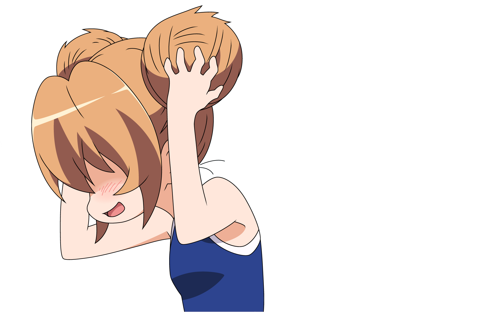 anime vectors, Toradora!, anime, Aisaka Taiga, HD Wallpaper