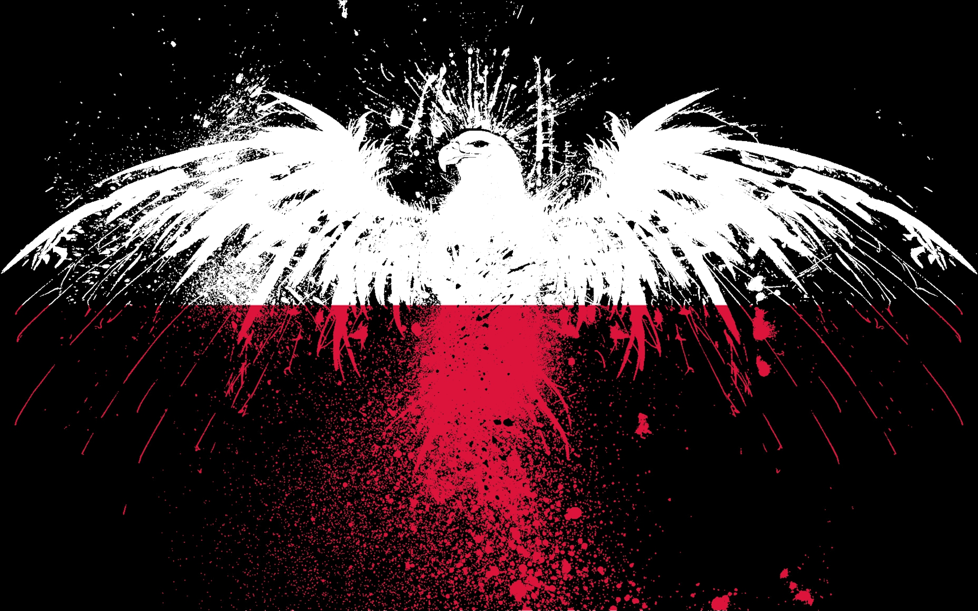 Red White Eagles Flags Polish Poland Black Background White Eagle Free Wallpaper Wallpaperjam Com