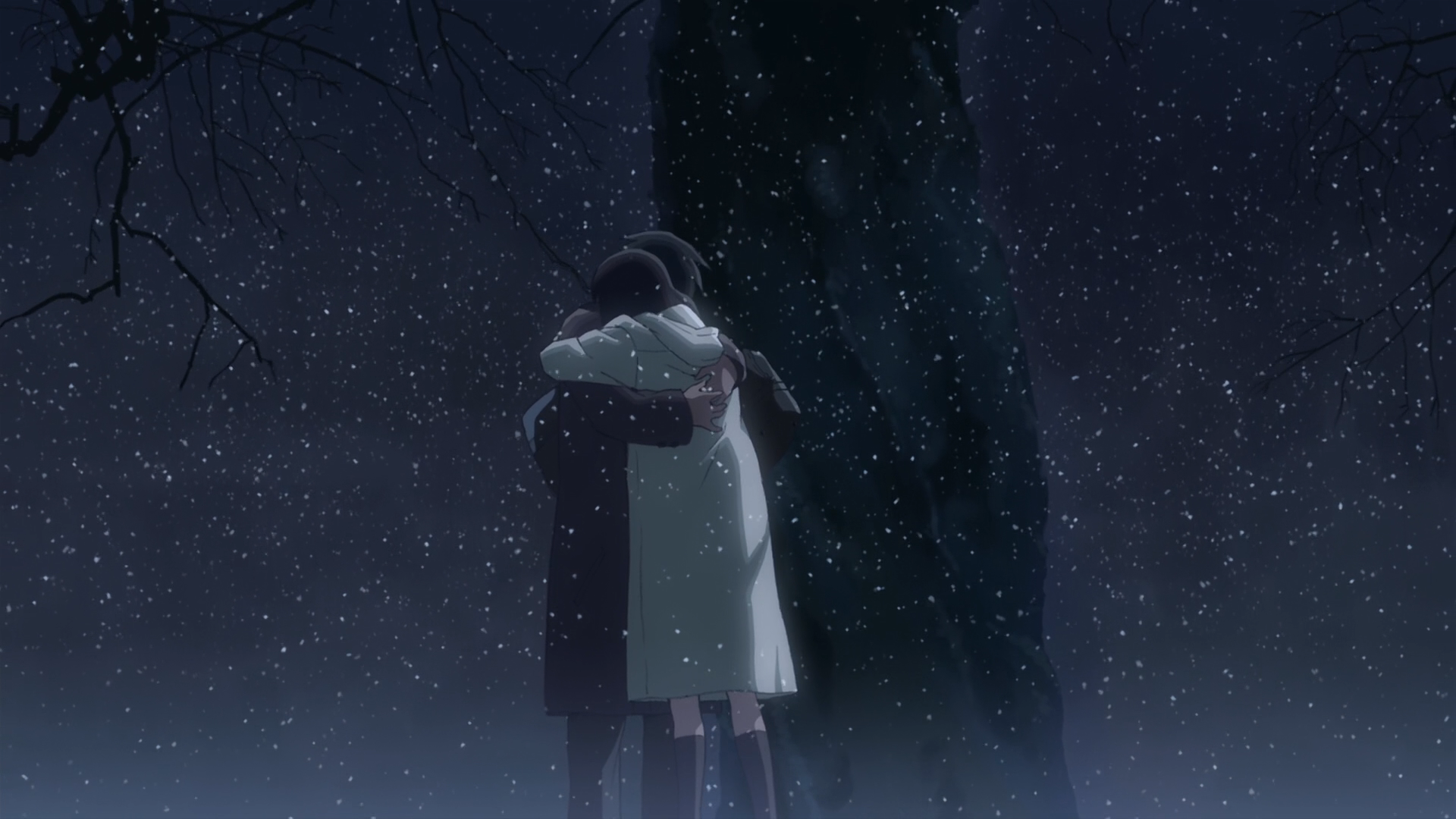 Makoto Shinkai Embrace 5 Centimeters Per Second Hugging Free Wallpaper Wallpaperjam Com