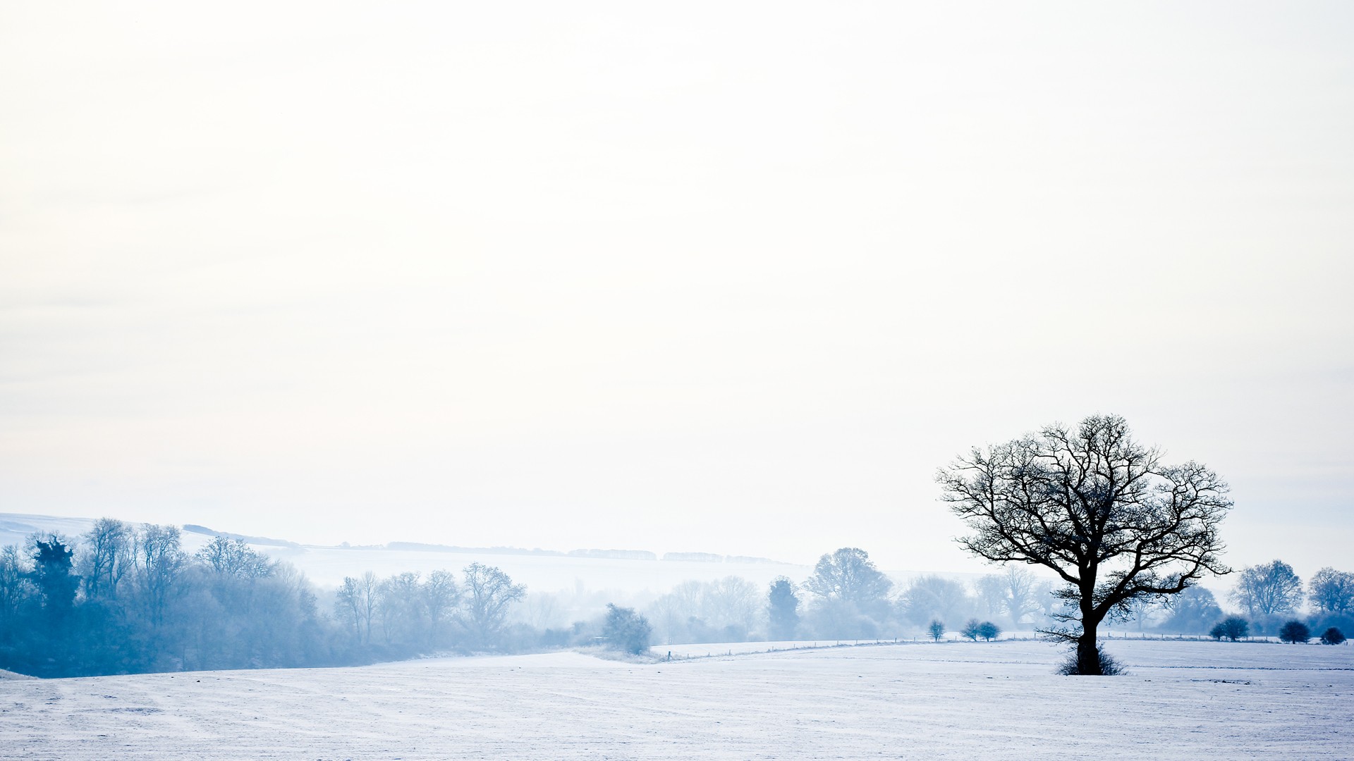 winter, England, Wonderland, countryside - desktop wallpaper